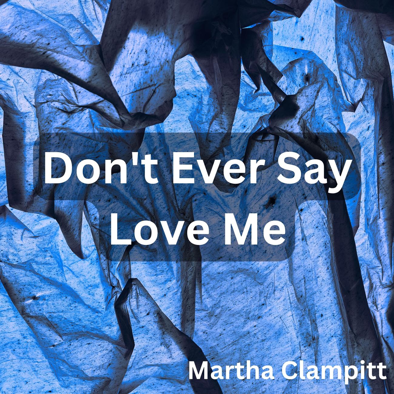 Постер альбома Don't Ever Say Love Me