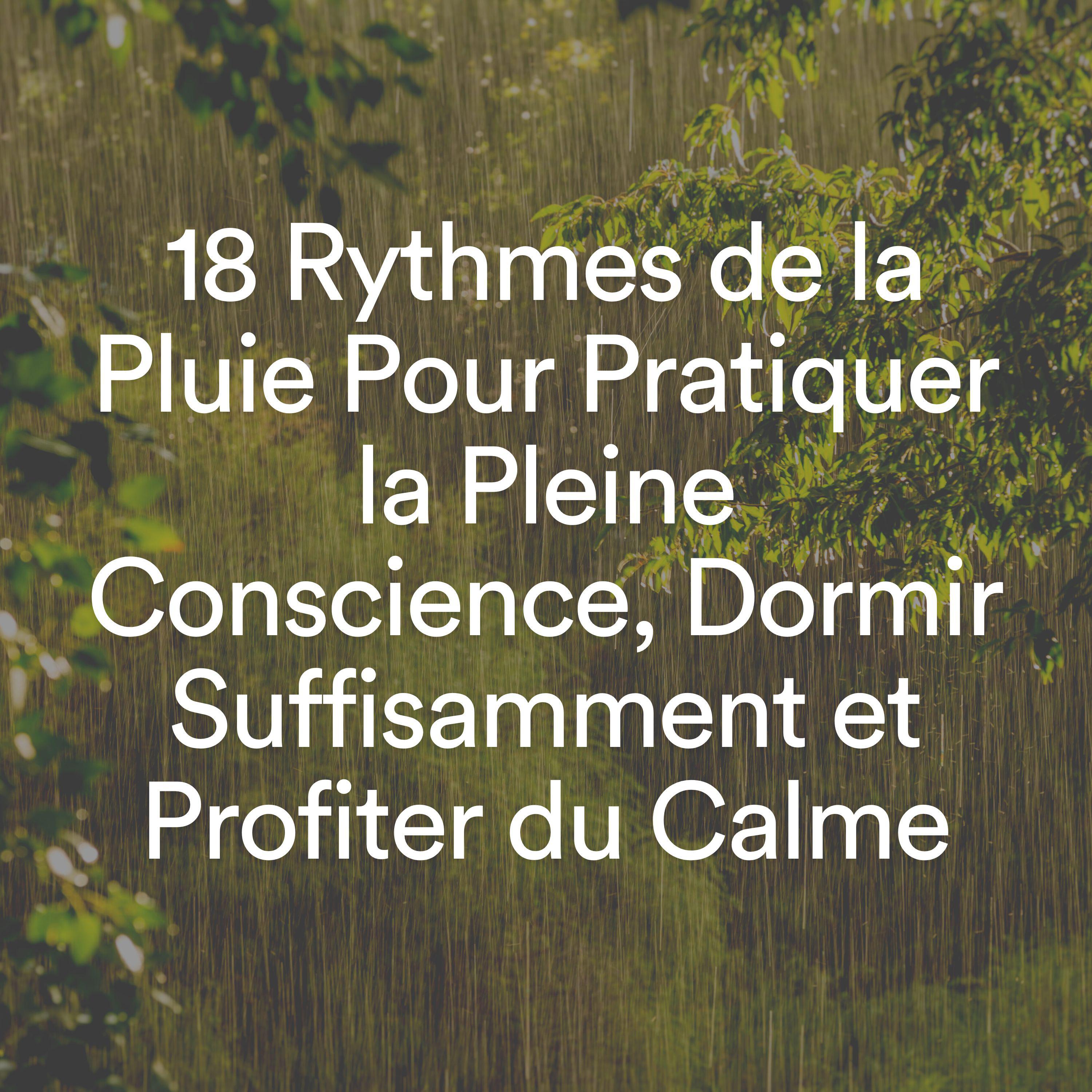 Постер альбома 18 Rythmes de la Pluie Pour Pratiquer la Pleine Conscience, Dormir Suffisamment et Profiter du Calme