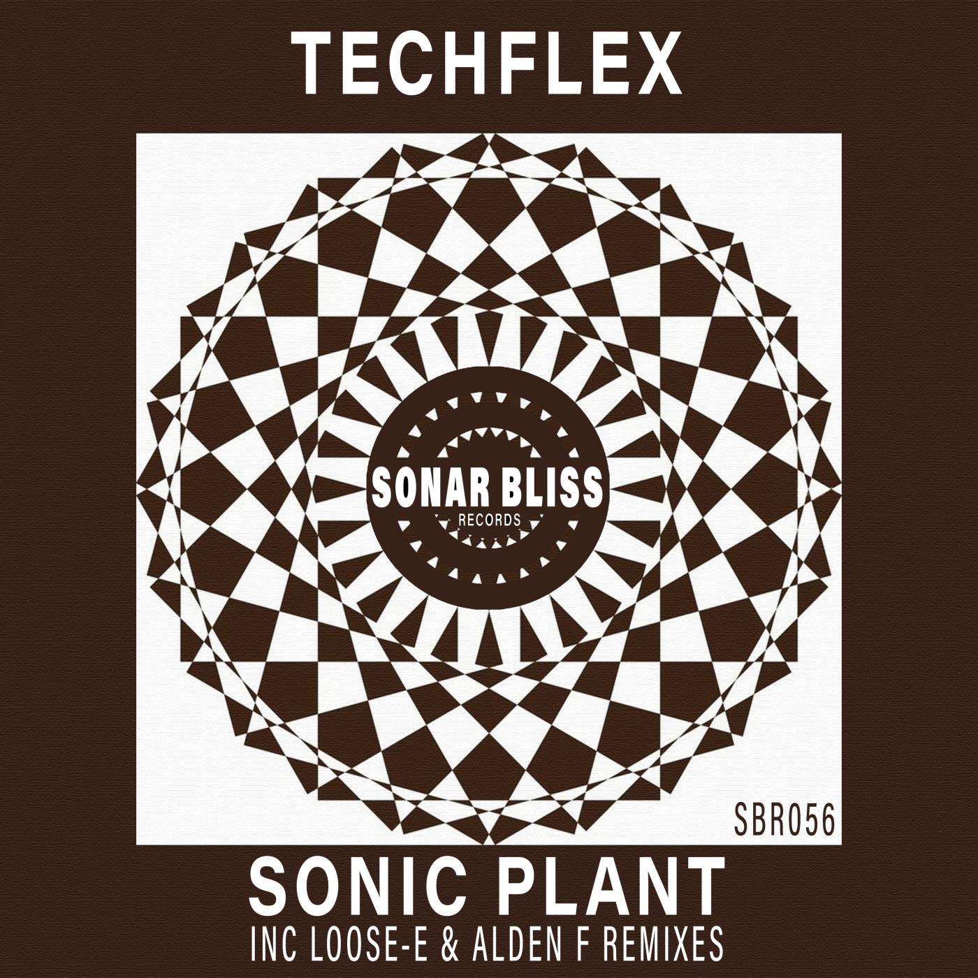 Постер альбома Sonic Plant