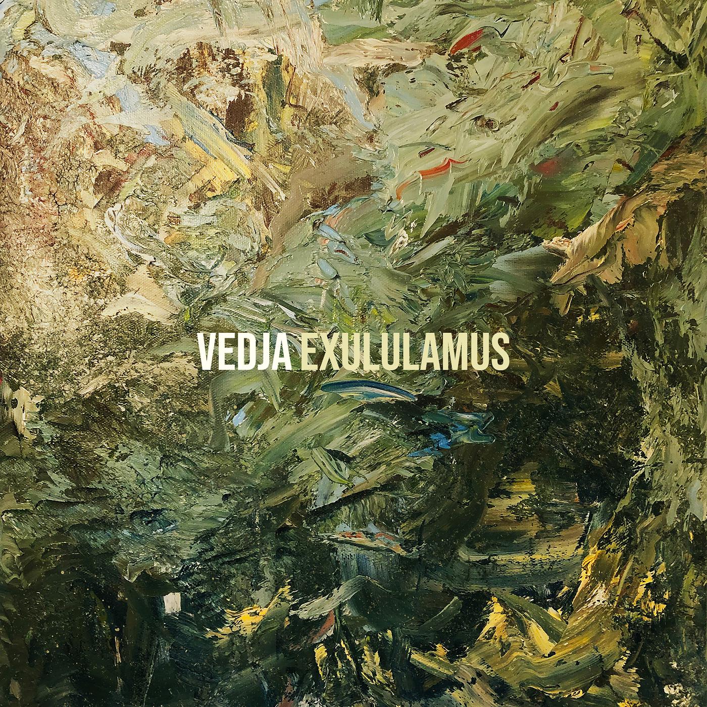 Постер альбома Vedja