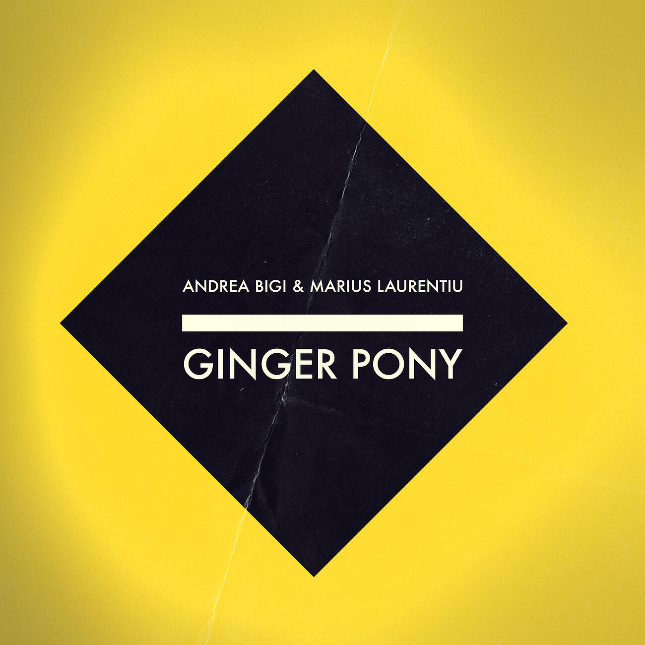 Andrea Bigi - Ginger Pony (Katal Acid Remix)