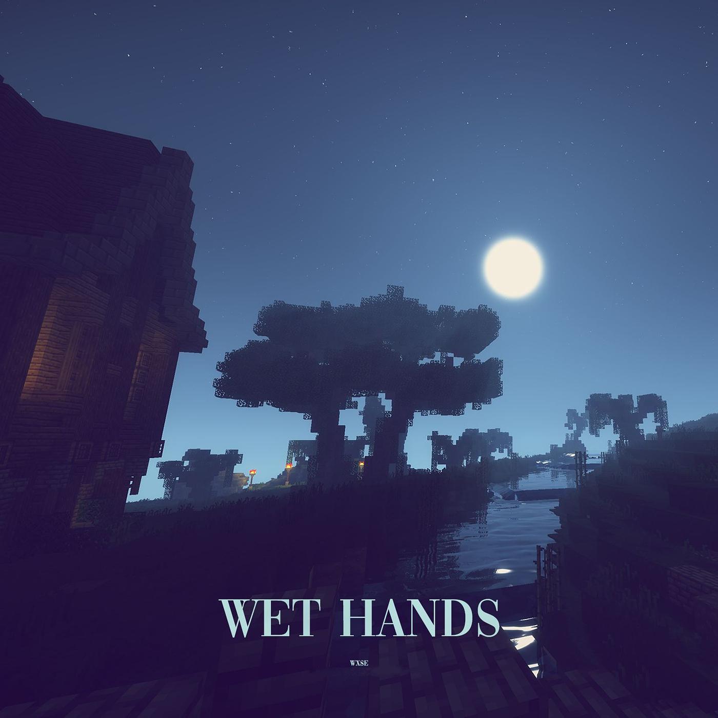 Постер альбома Wet Hands