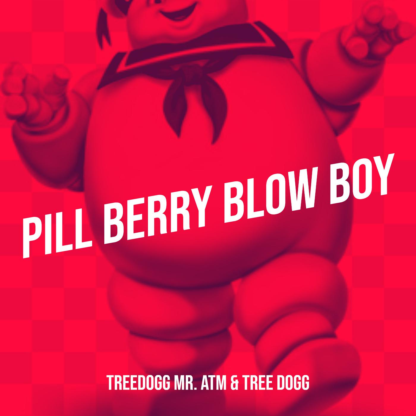 Постер альбома Pill Berry Blow Boy