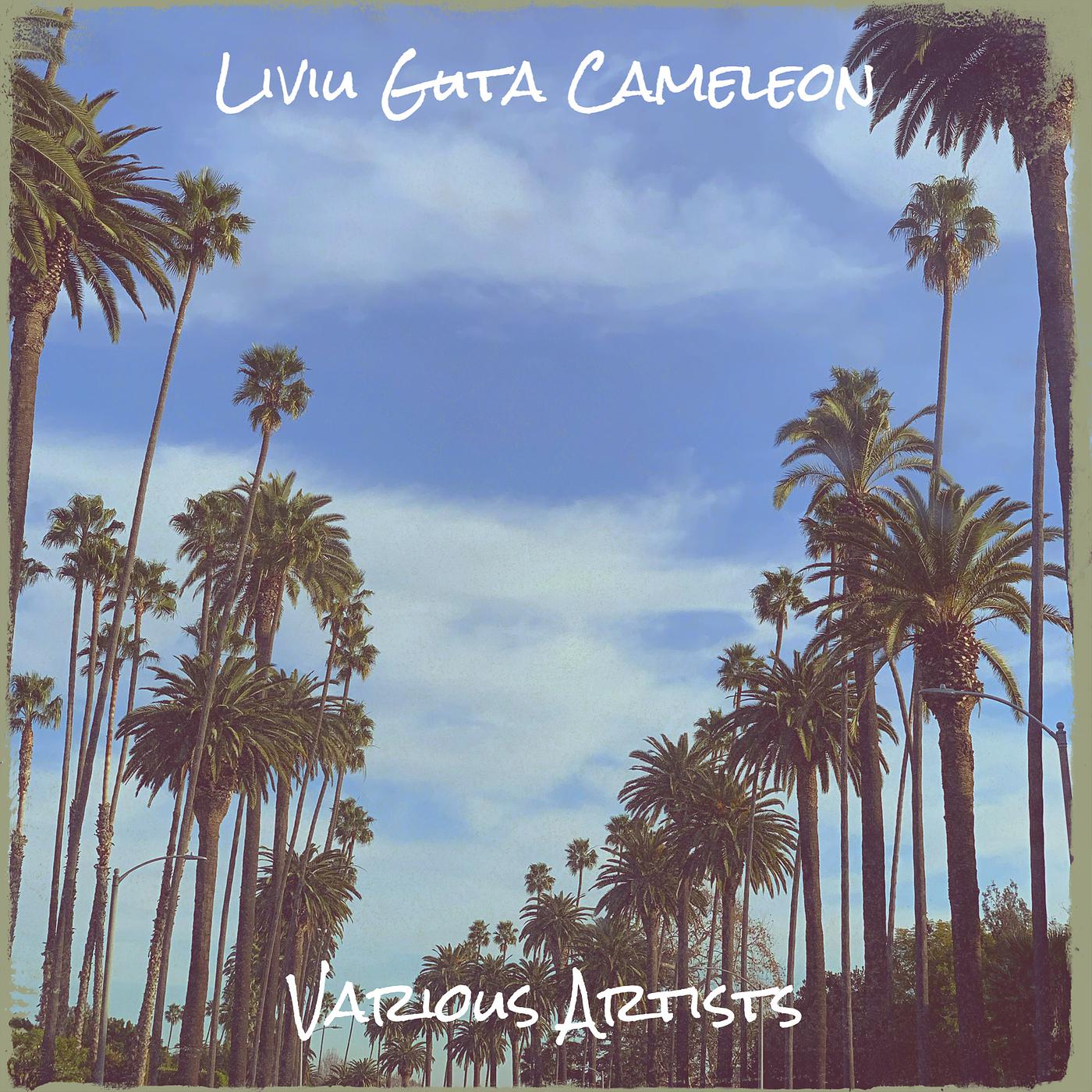Постер альбома Liviu Guta Cameleon