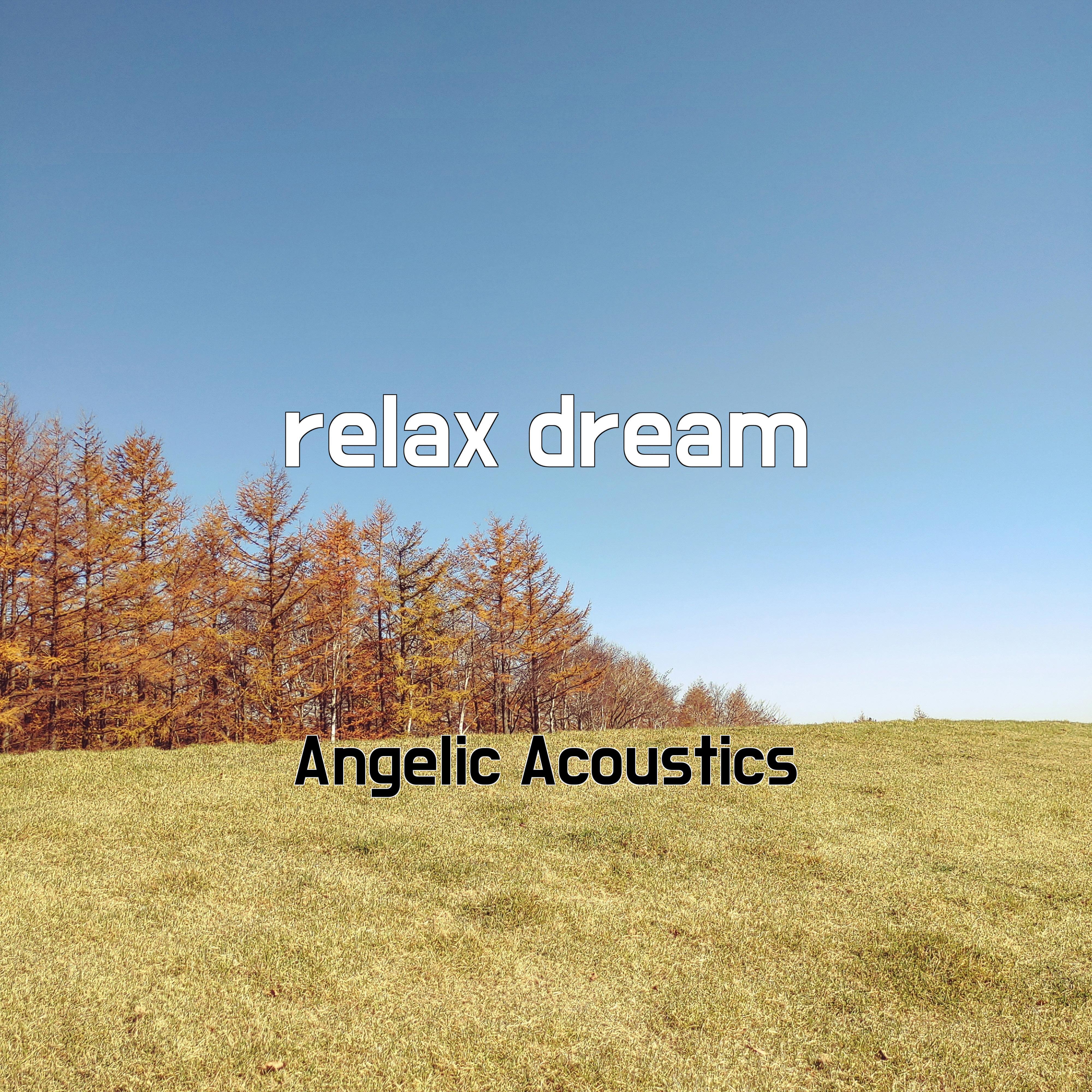 Постер альбома relax dream