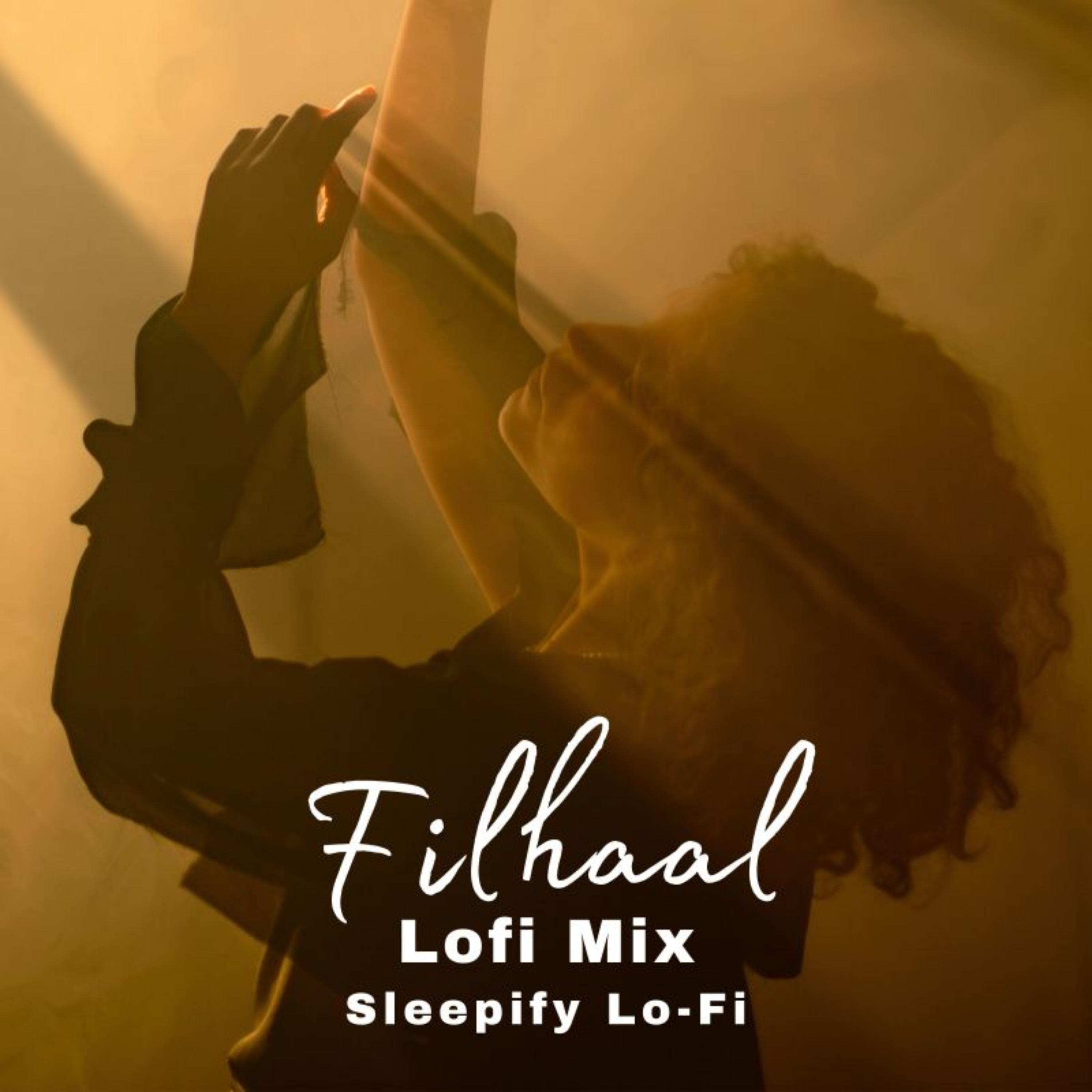 Постер альбома Filhaal2 Mohabbat (Lofi Mix)