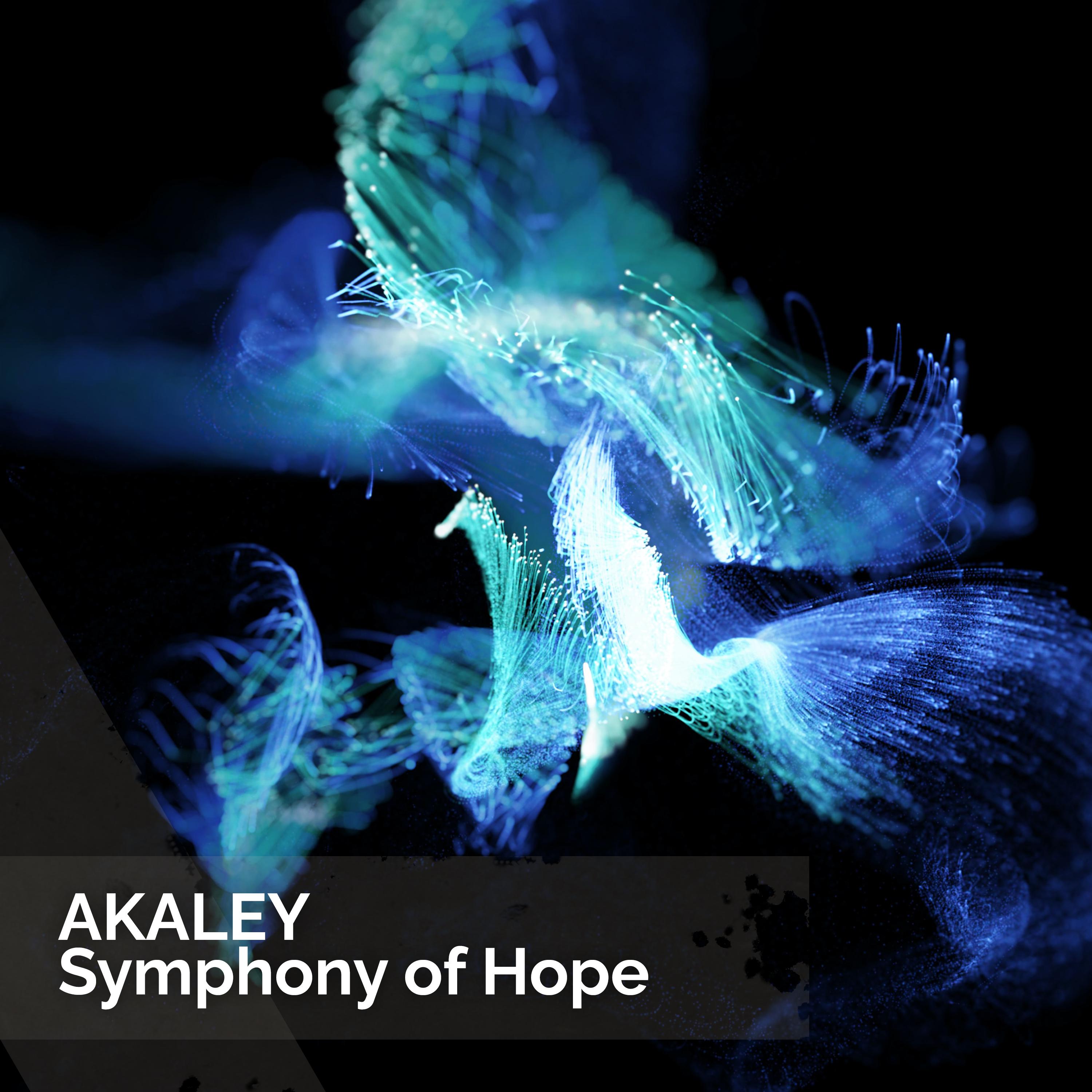 Постер альбома Symphony of Hope