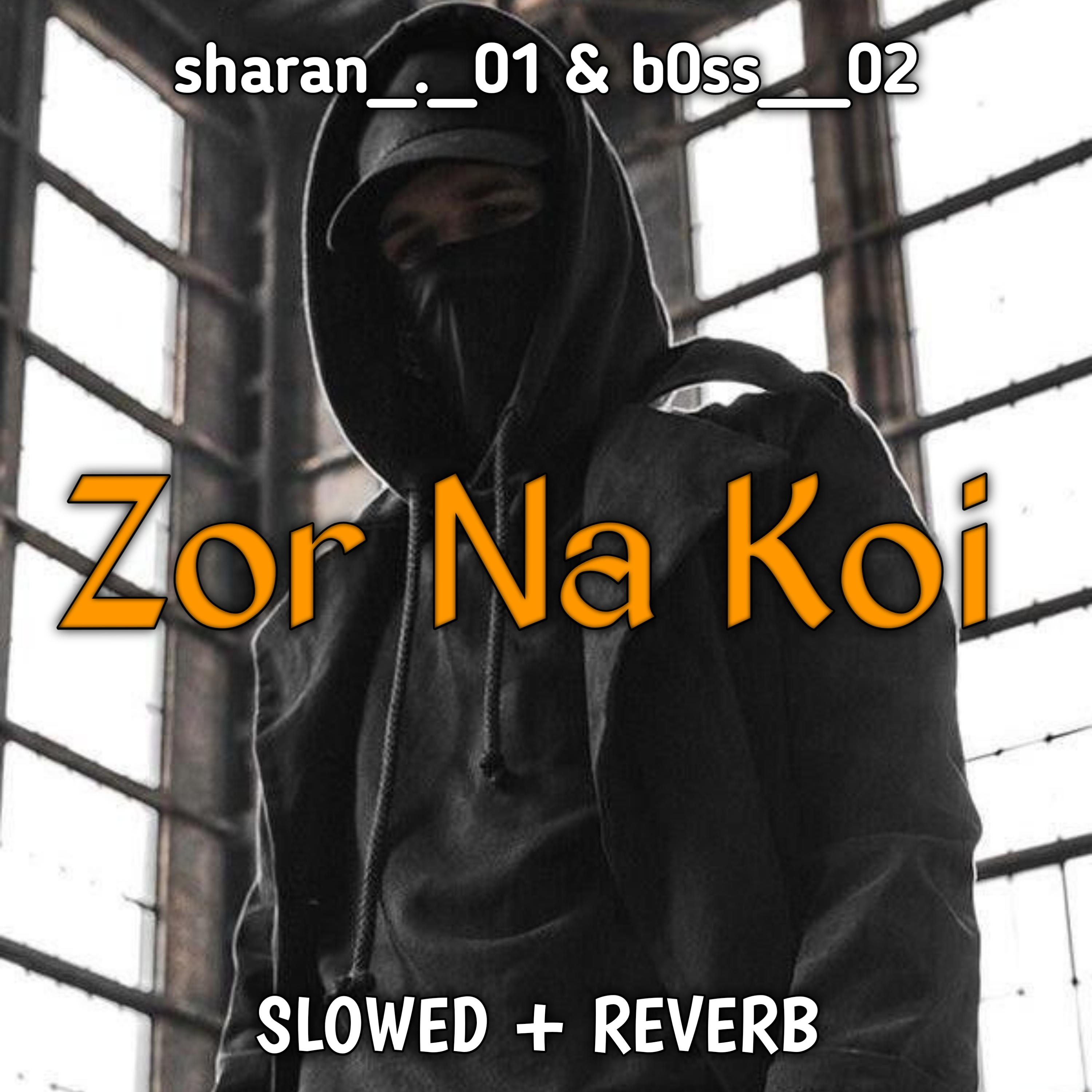 Постер альбома Zor na koi