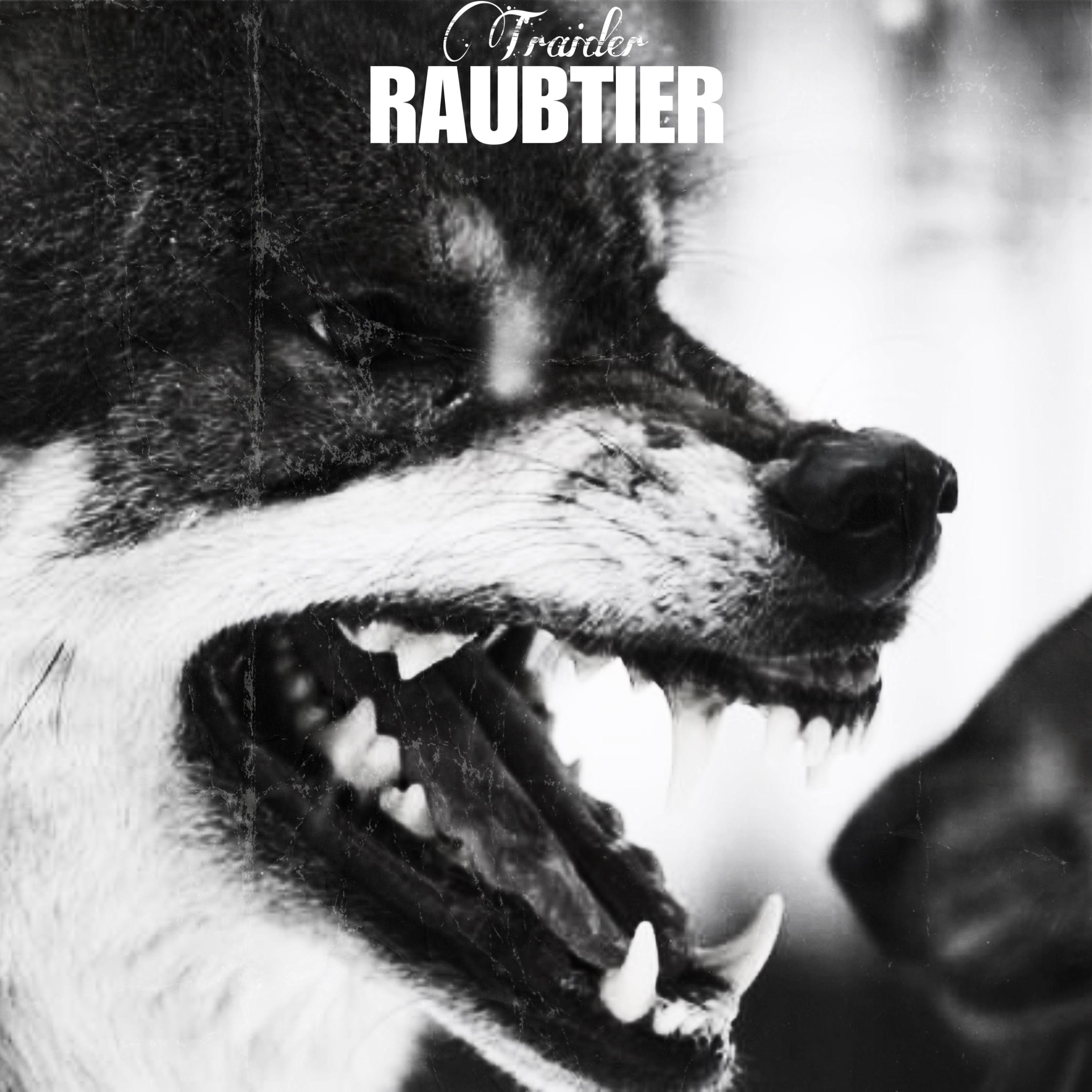 Постер альбома Raubtier
