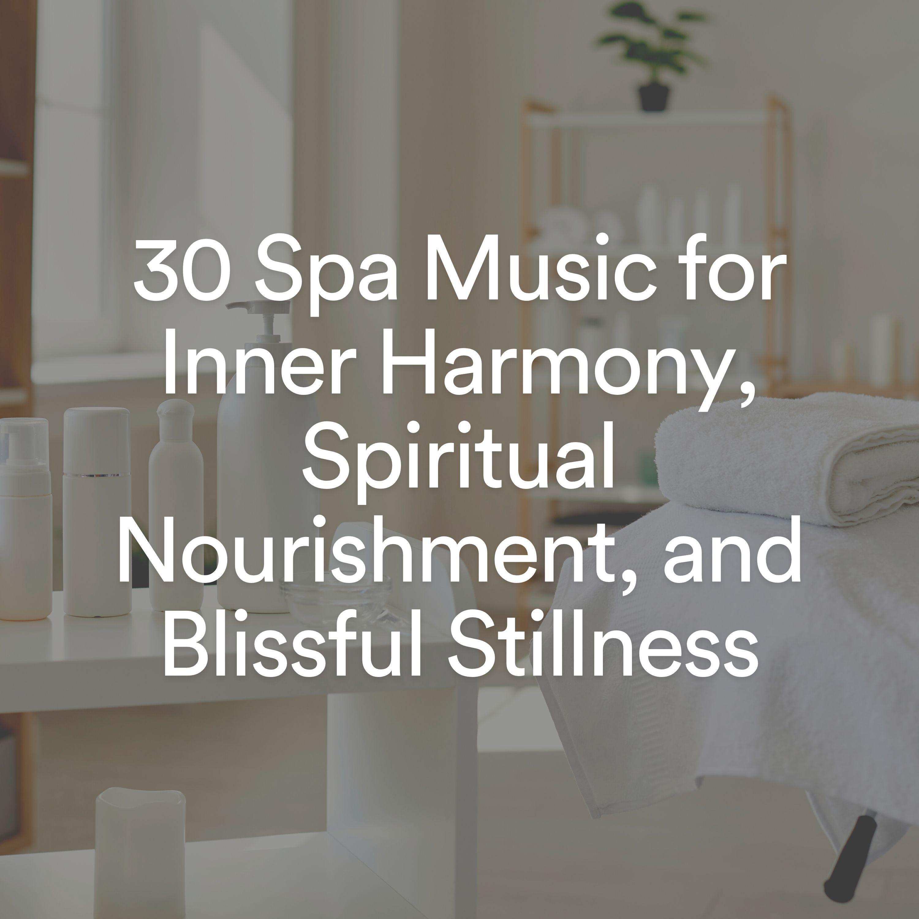 Постер альбома 30 Spa Music for Inner Harmony, Spiritual Nourishment, and Blissful Stillness