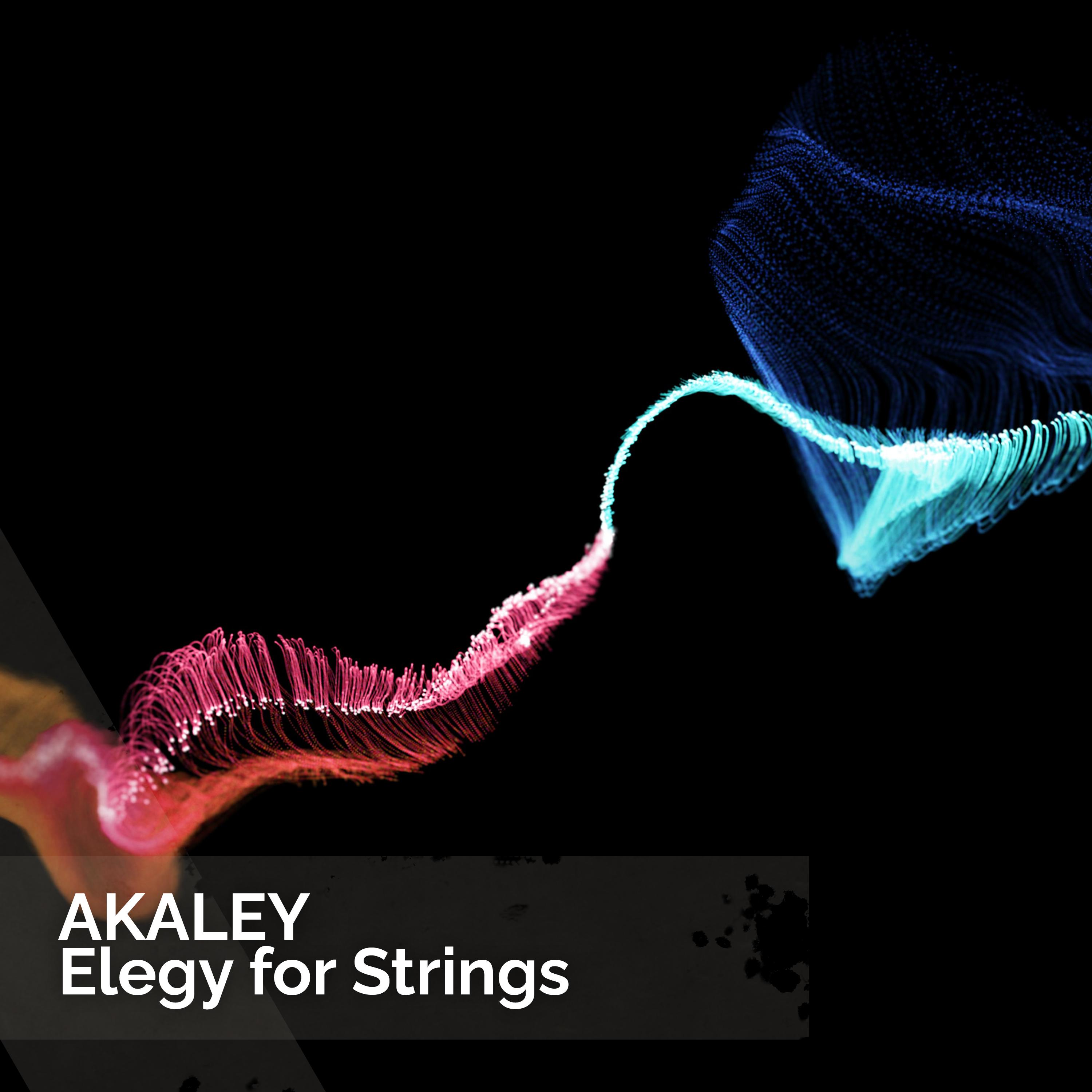 Постер альбома Elegy for Strings