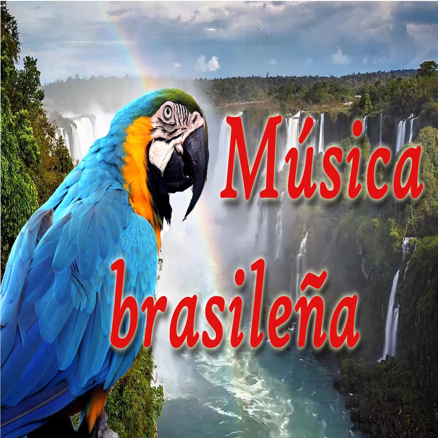 Постер альбома Música Brasileña