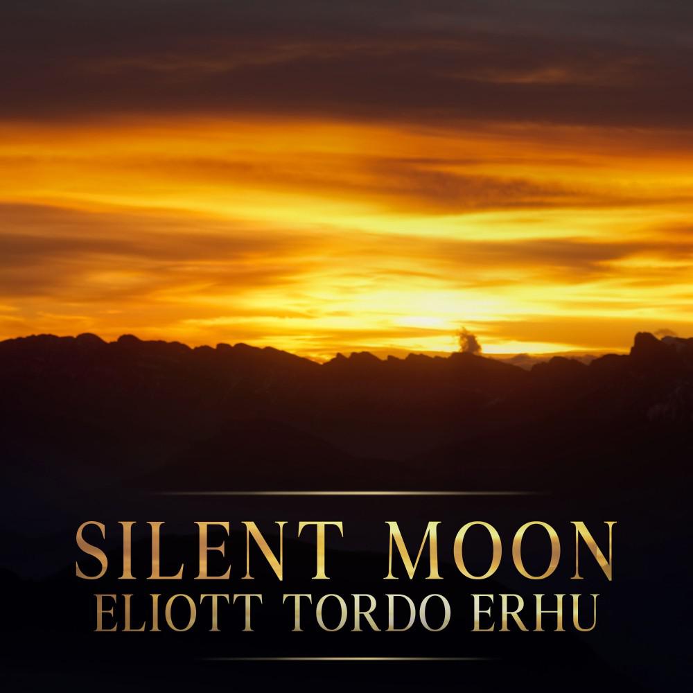 Постер альбома Silent Moon
