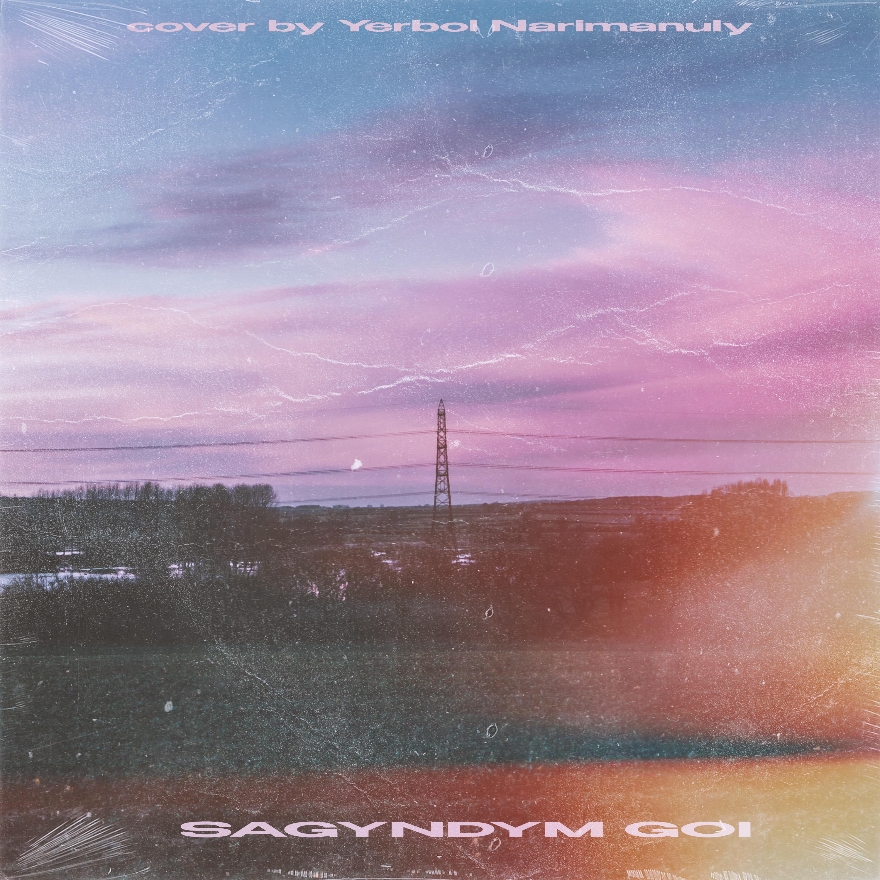 Постер альбома Sagyndym goi