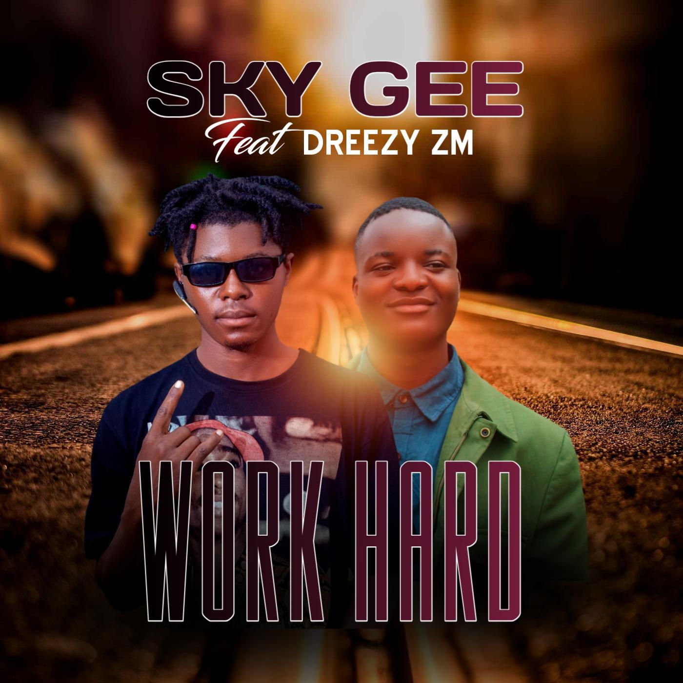 Постер альбома Work Hard (feat. Sky Gee feat Dreezy Zm)
