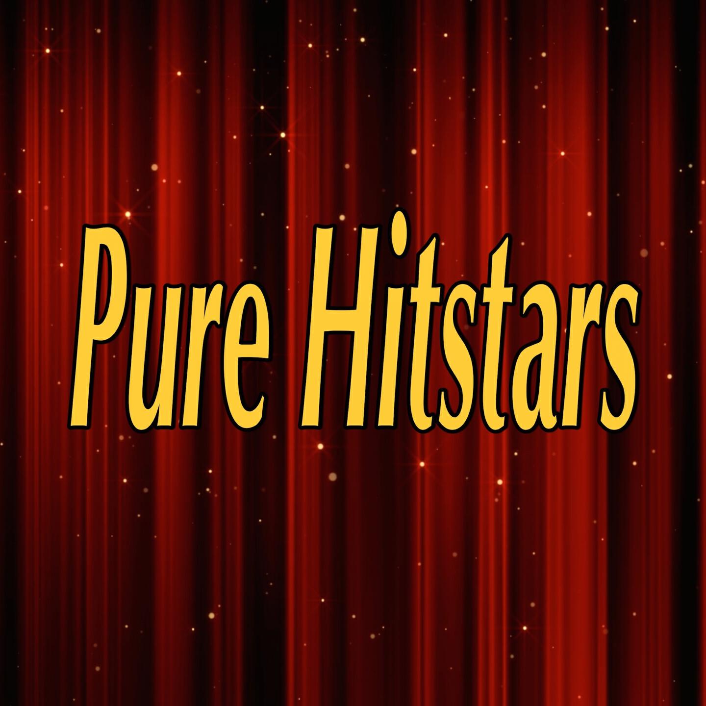 Pure Hitstars - Believer (Tribute to DJ Fresh and Adam F)