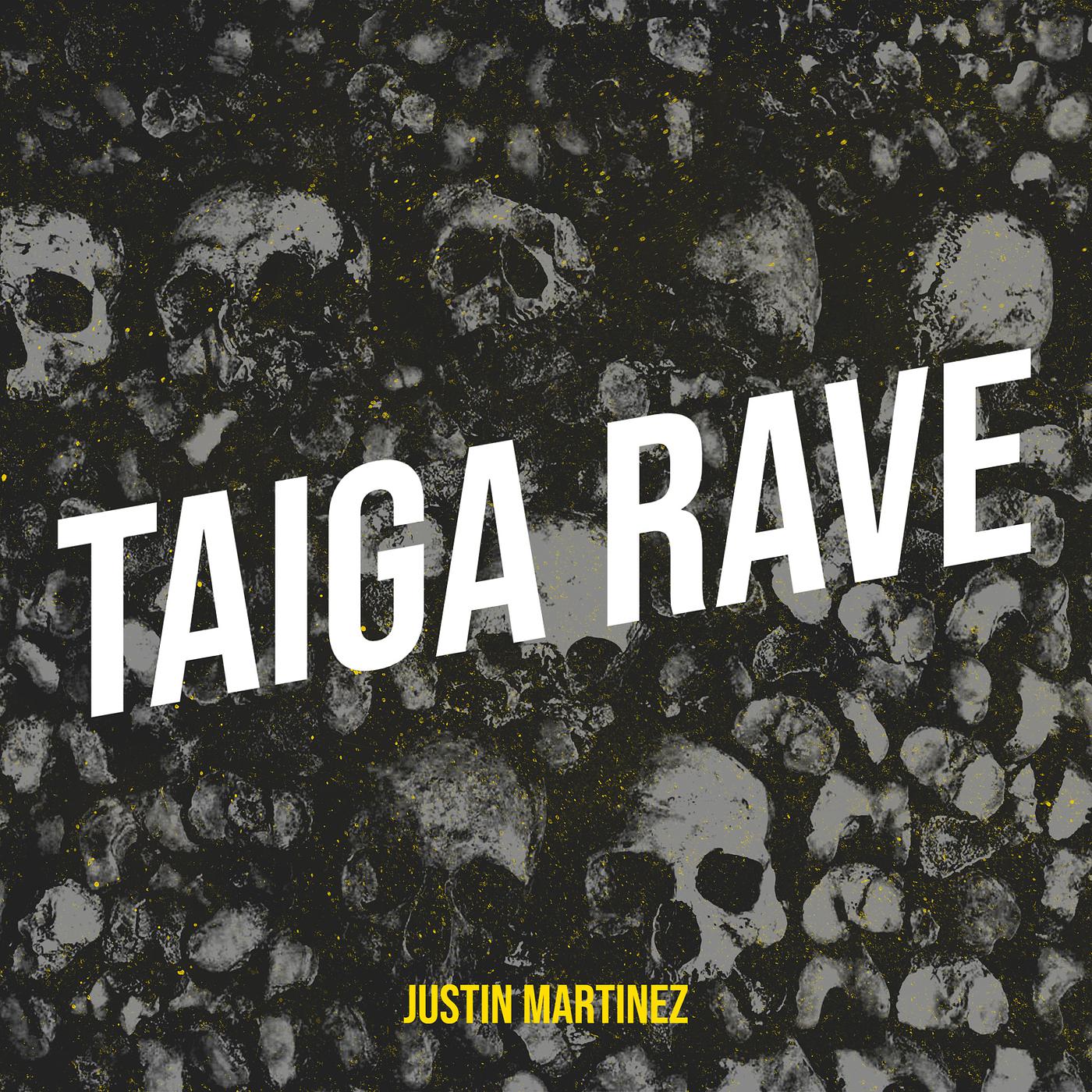 Постер альбома Taiga Rave