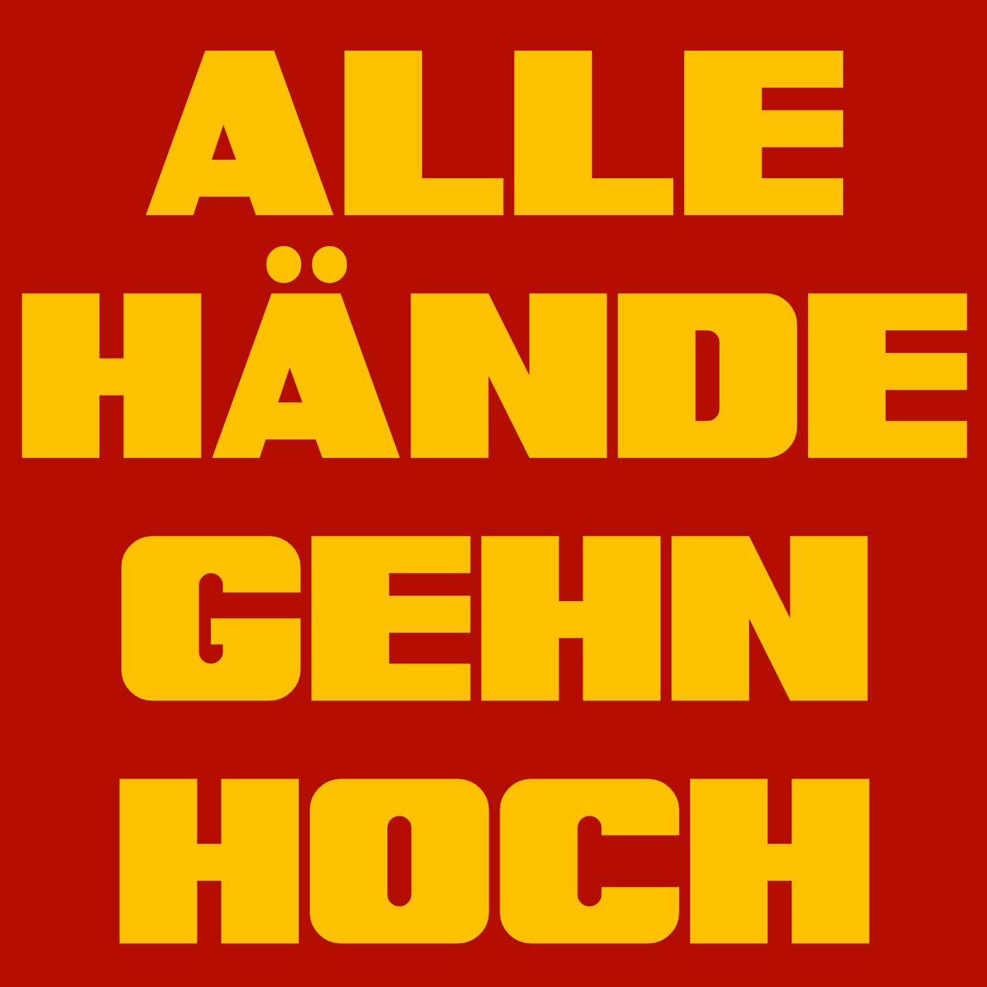 Постер альбома Alle Hände gehn hoch