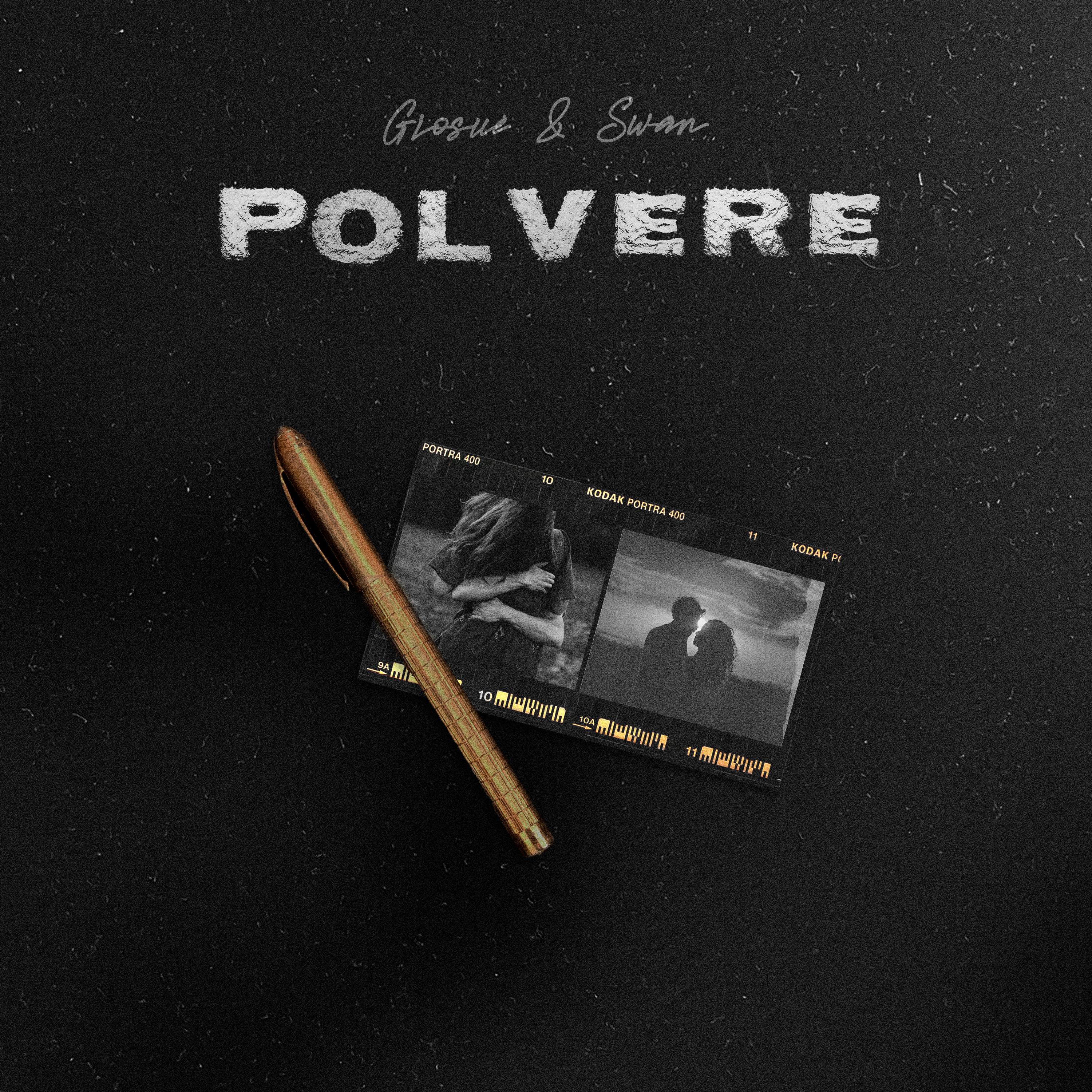 Постер альбома Polvere