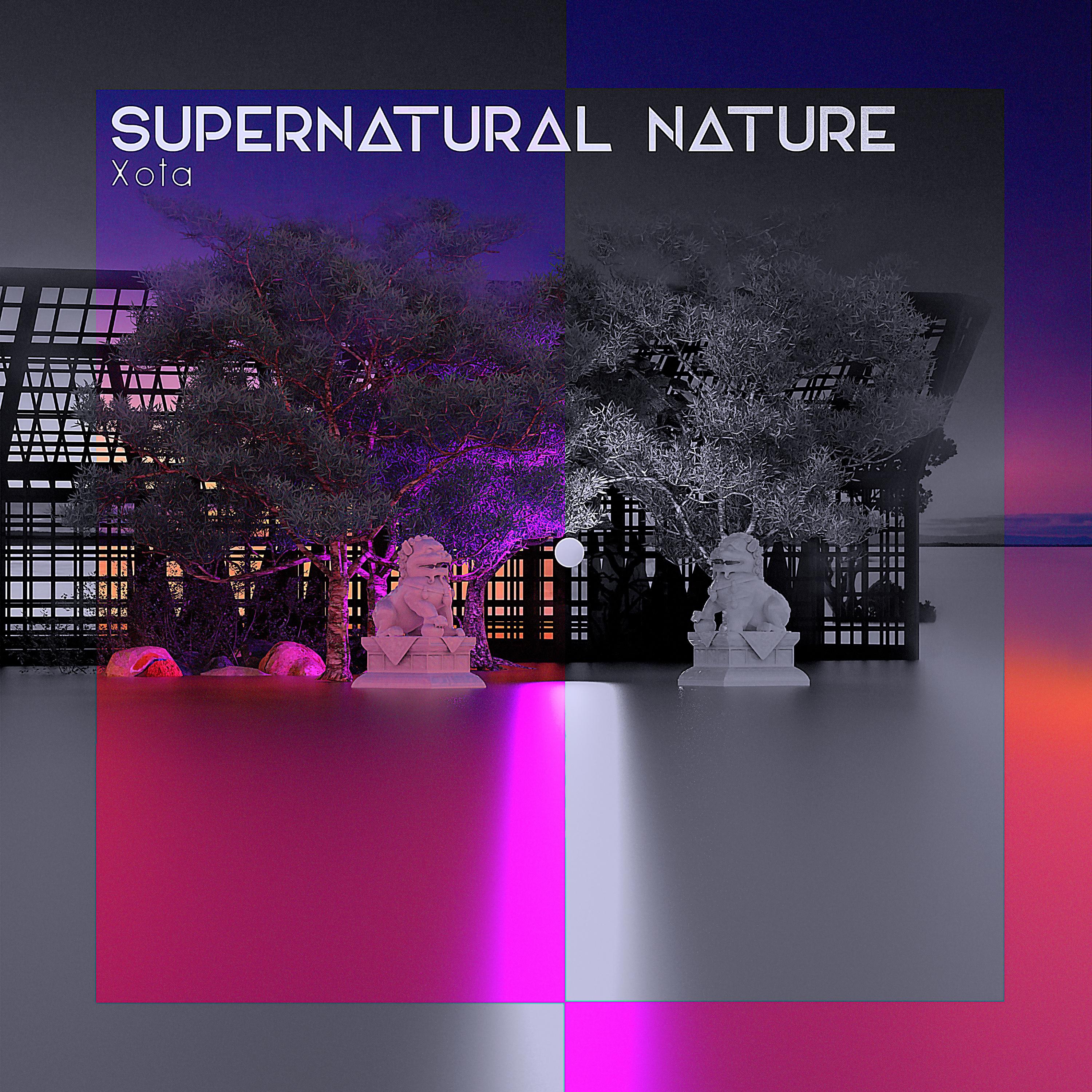 Постер альбома Supernatural Nature