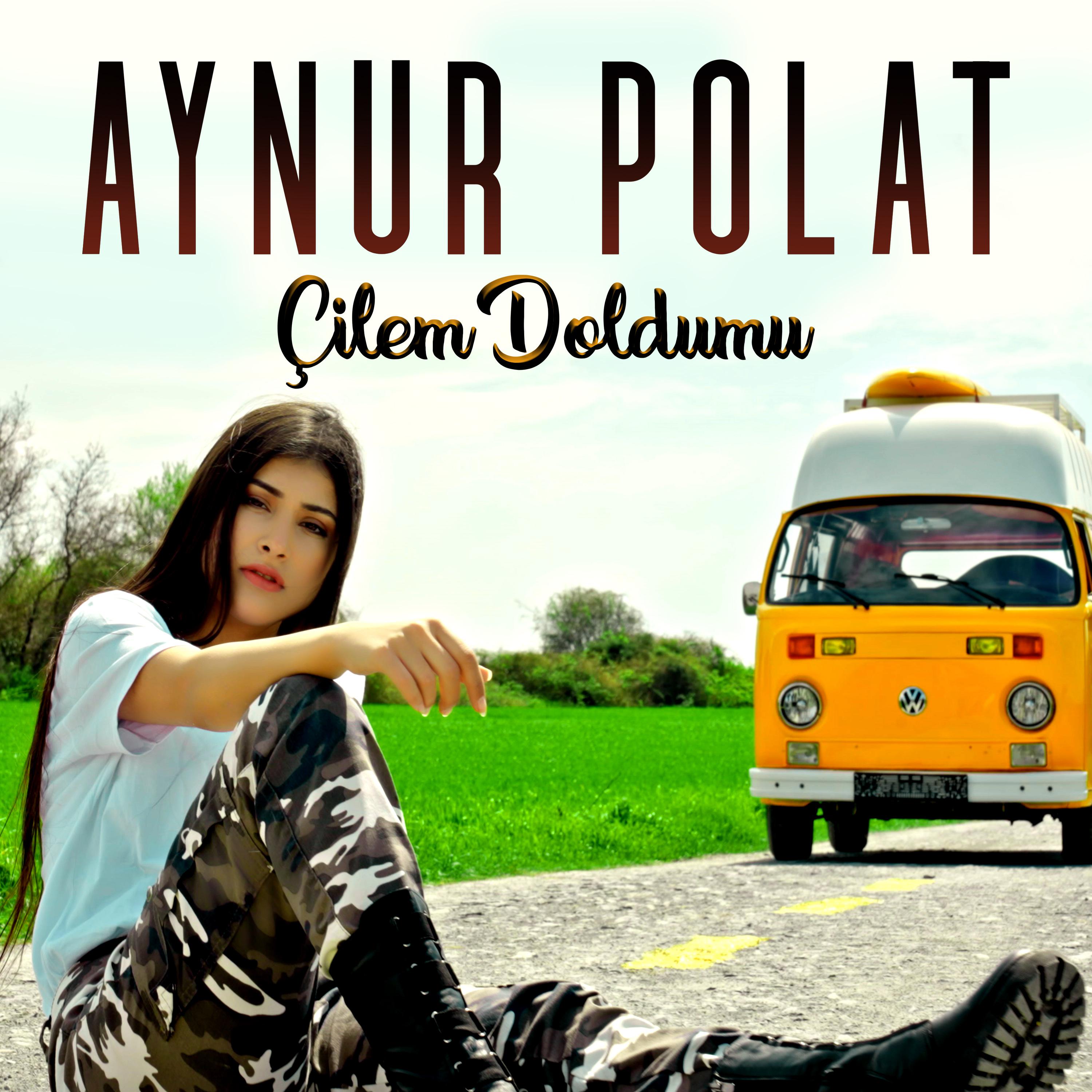Постер альбома Çilem Doldumu