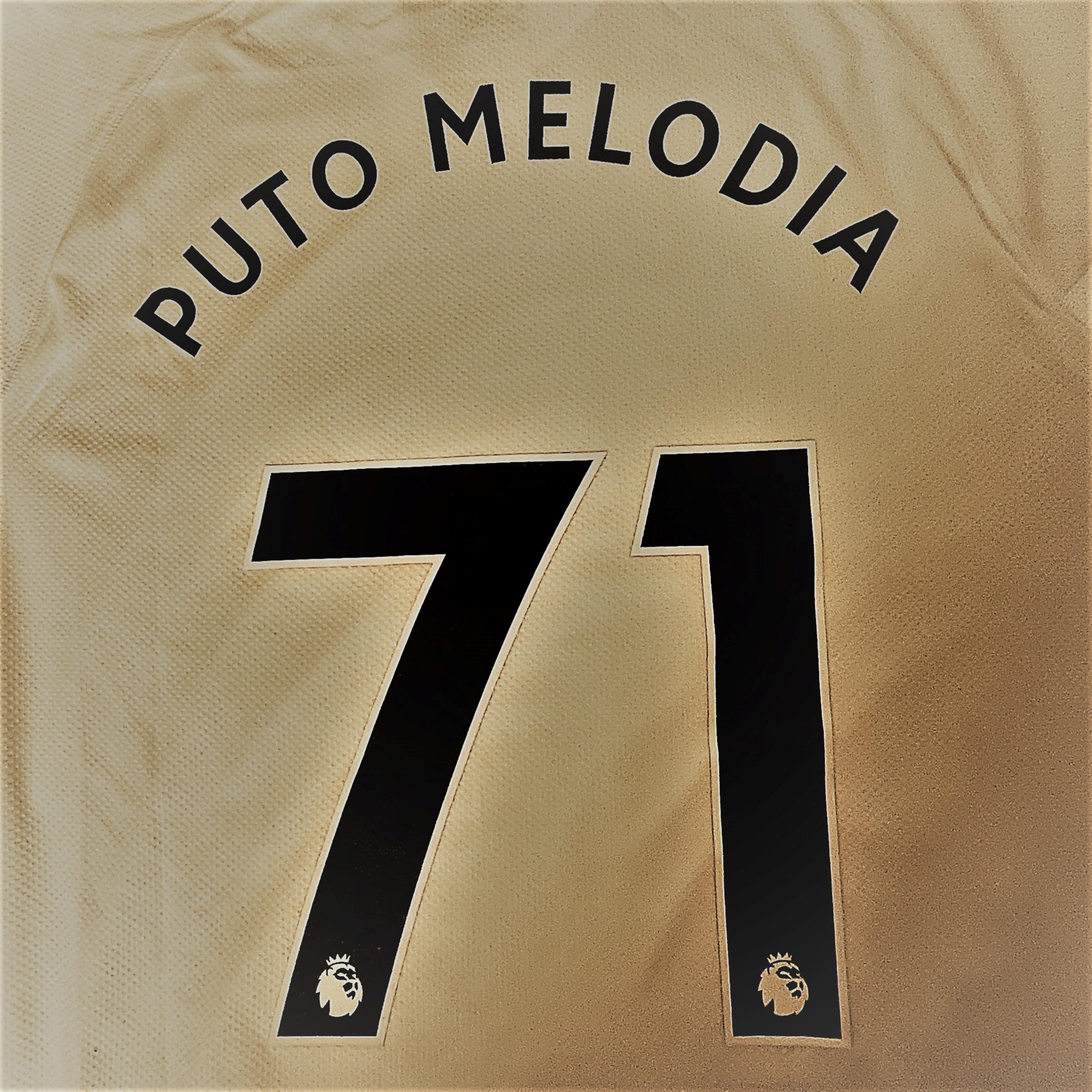 Постер альбома Puto Melodia