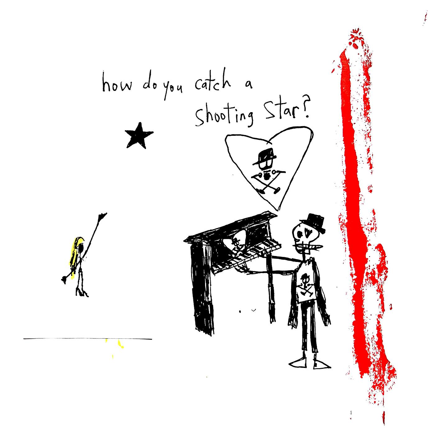 Постер альбома How Do You Catch a Shooting Star?