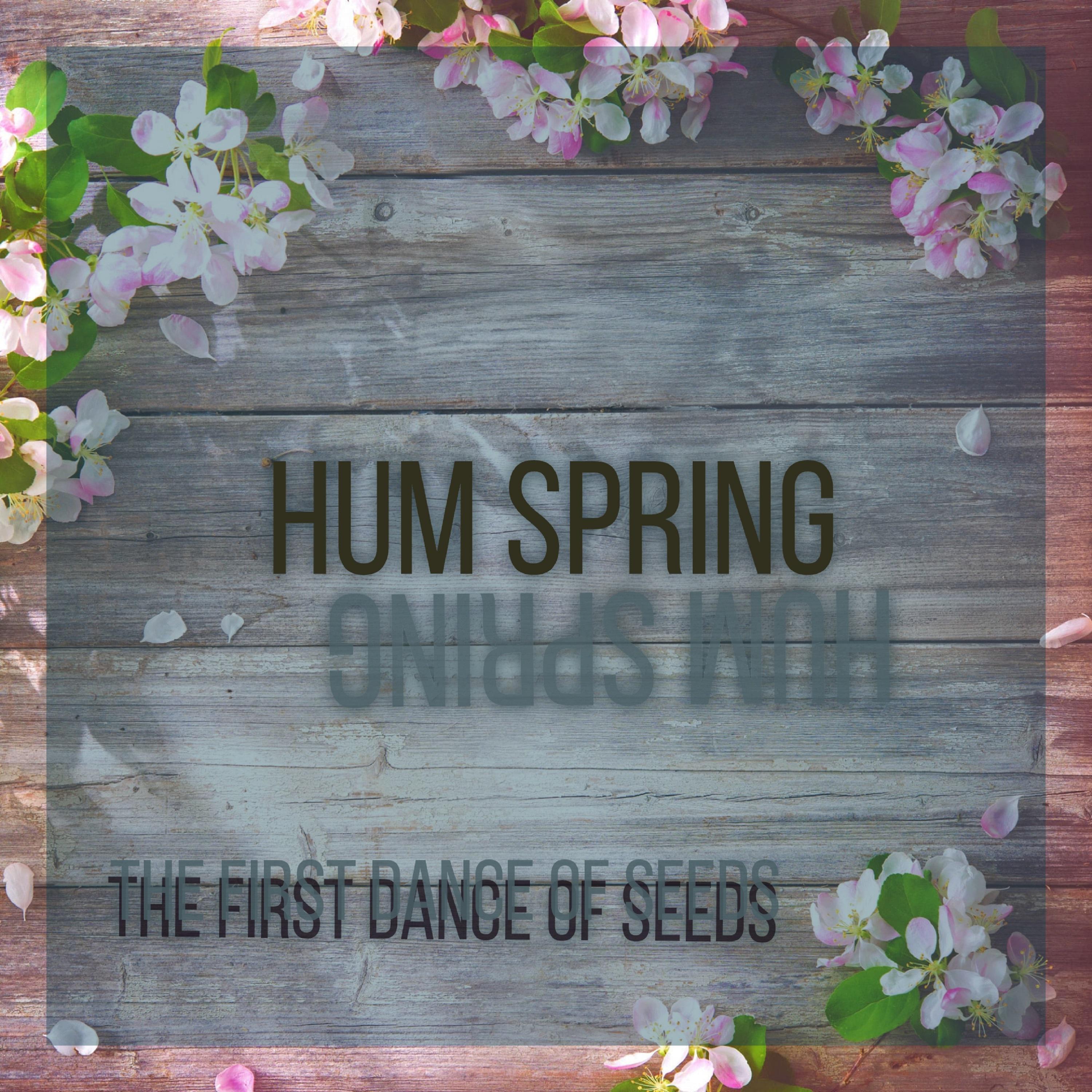 Постер альбома The first dance of seeds