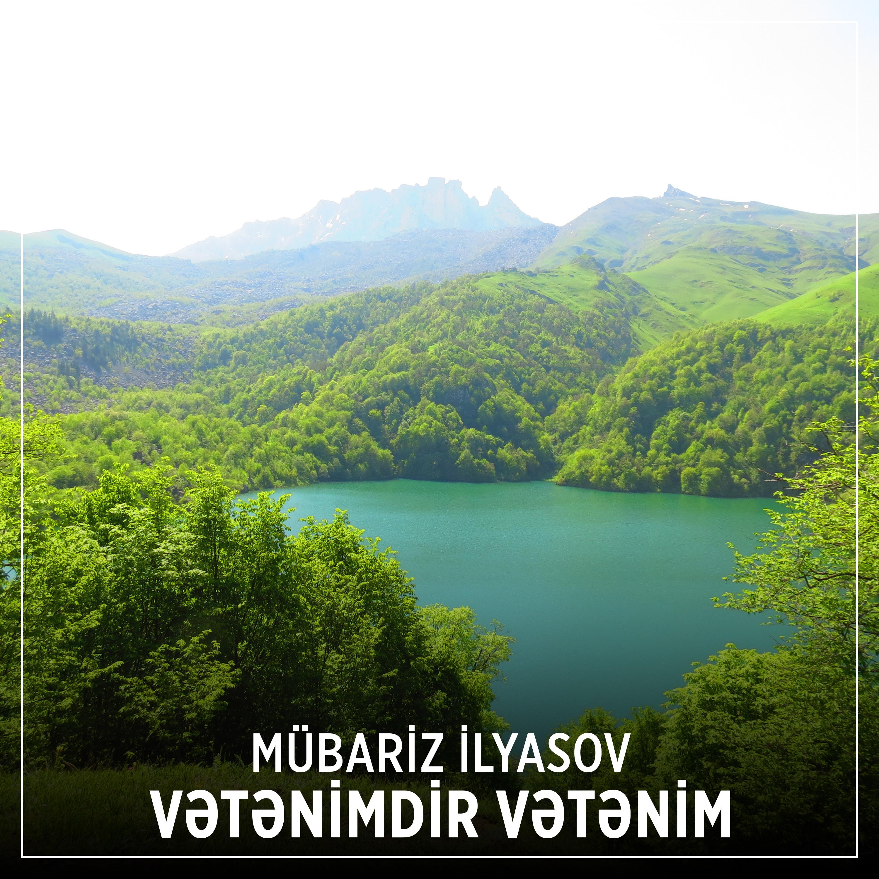 Постер альбома Vətənimdir Vətənim