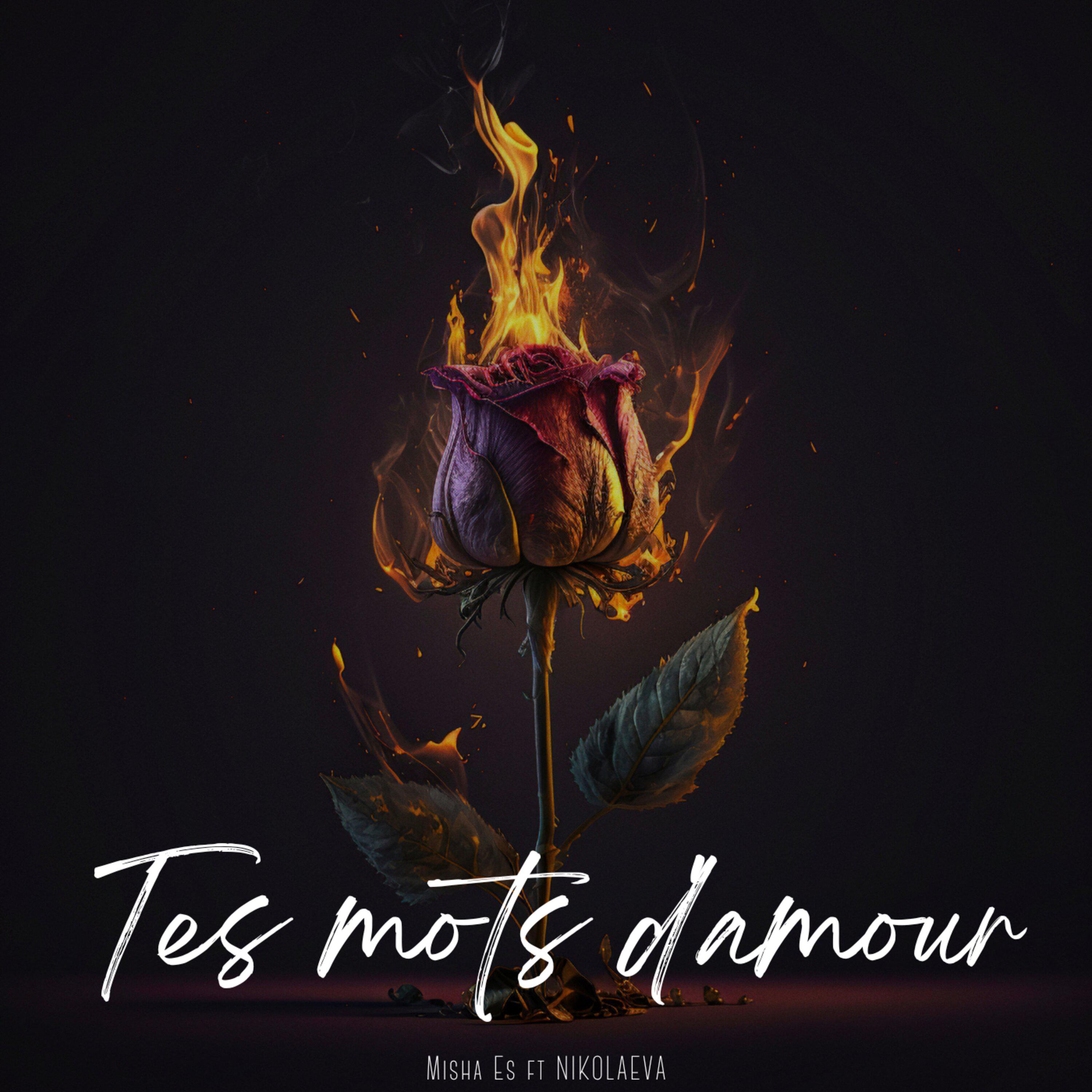 Постер альбома Tes mots d'amour