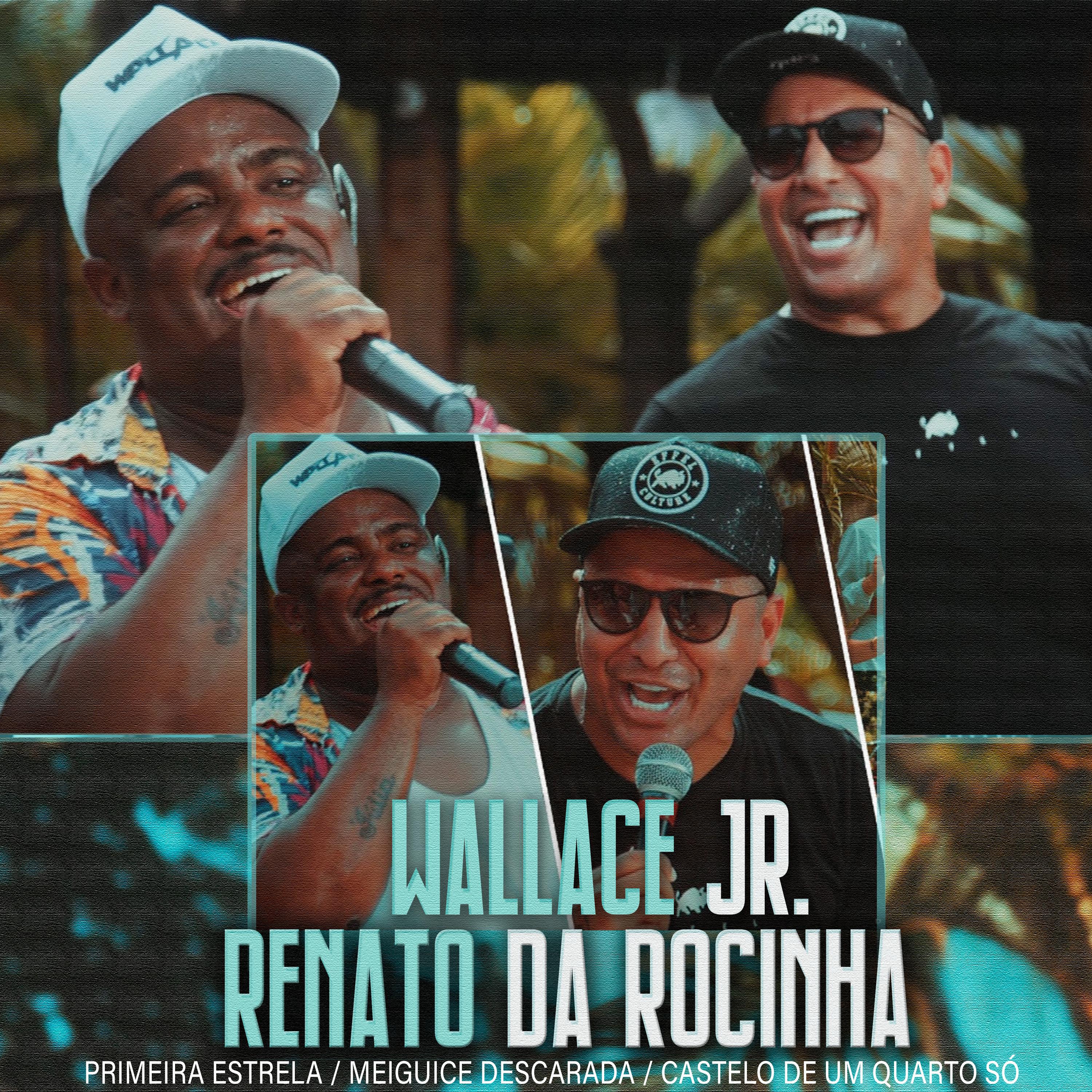 Постер альбома Wallace Jr. E Renato da Rocinha na Resenha do Brito