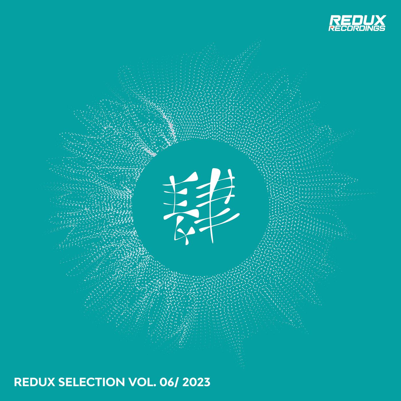 Постер альбома Redux Selection, Vol. 6 / 2023