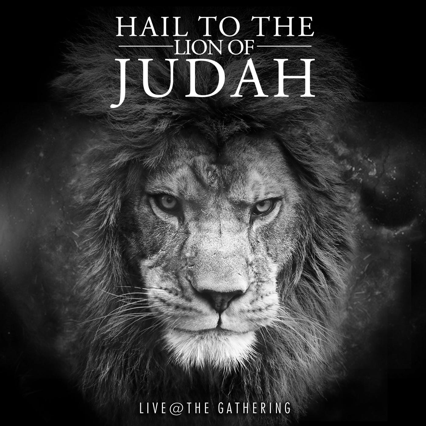 Постер альбома Hail to the Lion of Judah: Spontenous Praise (Live at the Gathering Corona)
