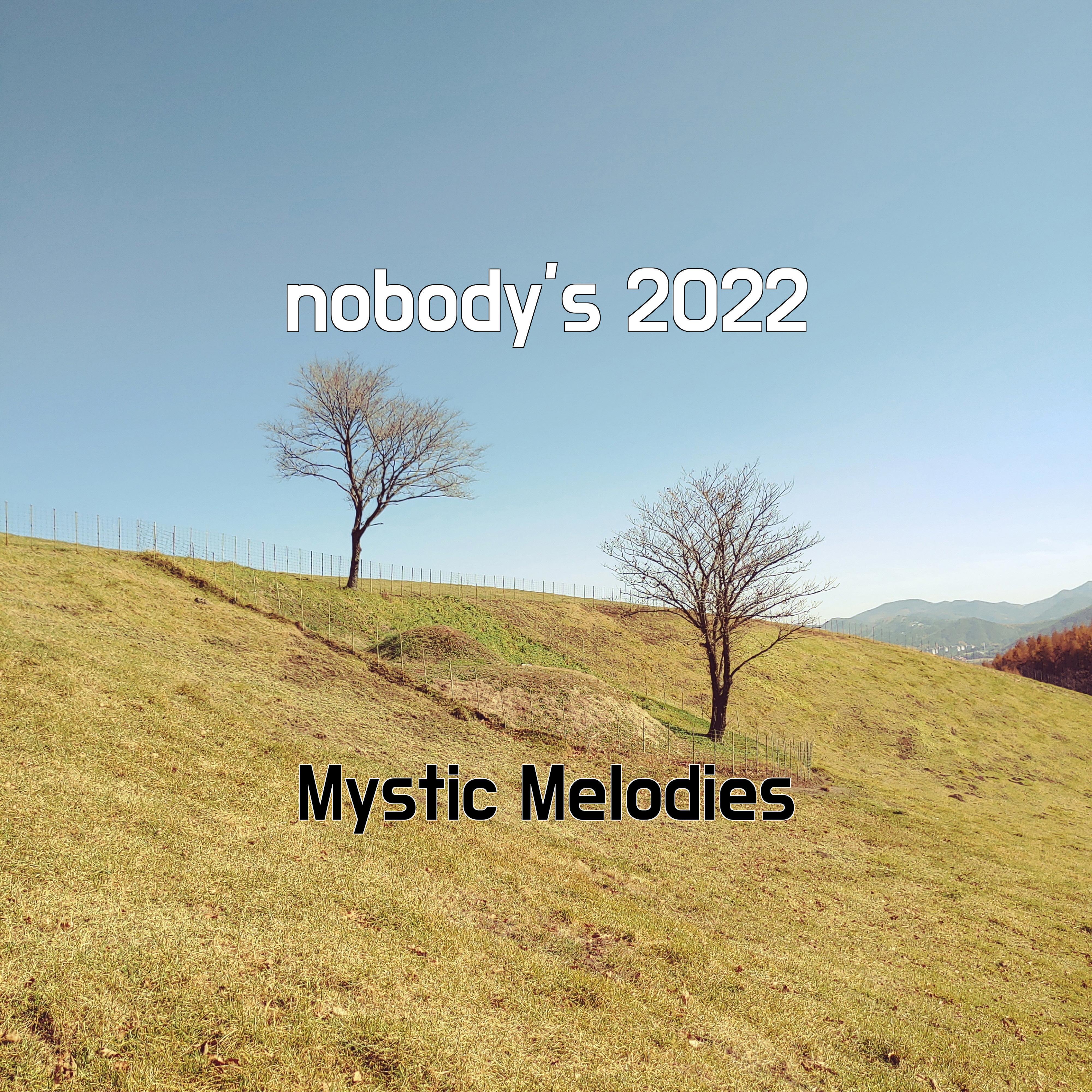 Постер альбома nobody's 2022