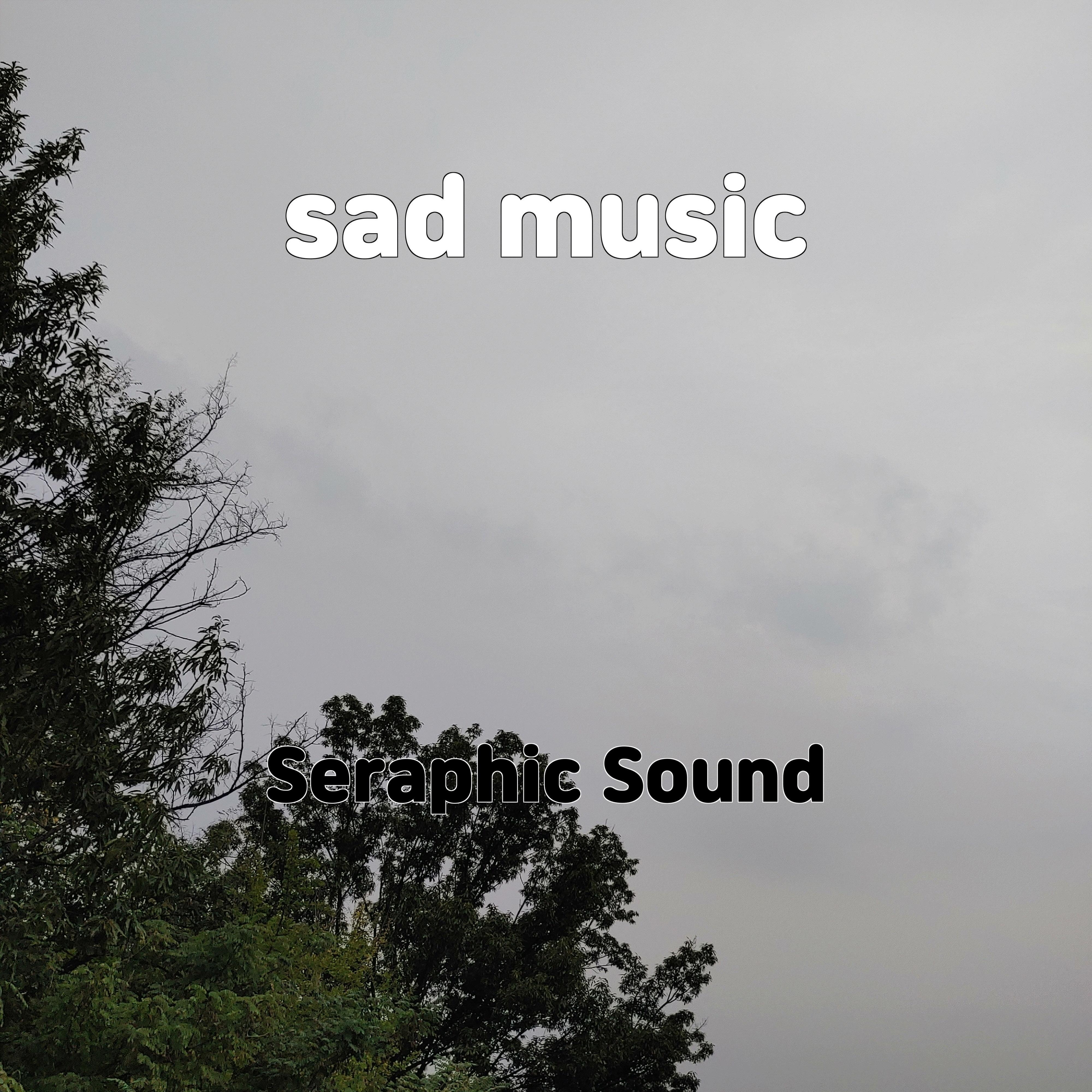 Постер альбома sad music