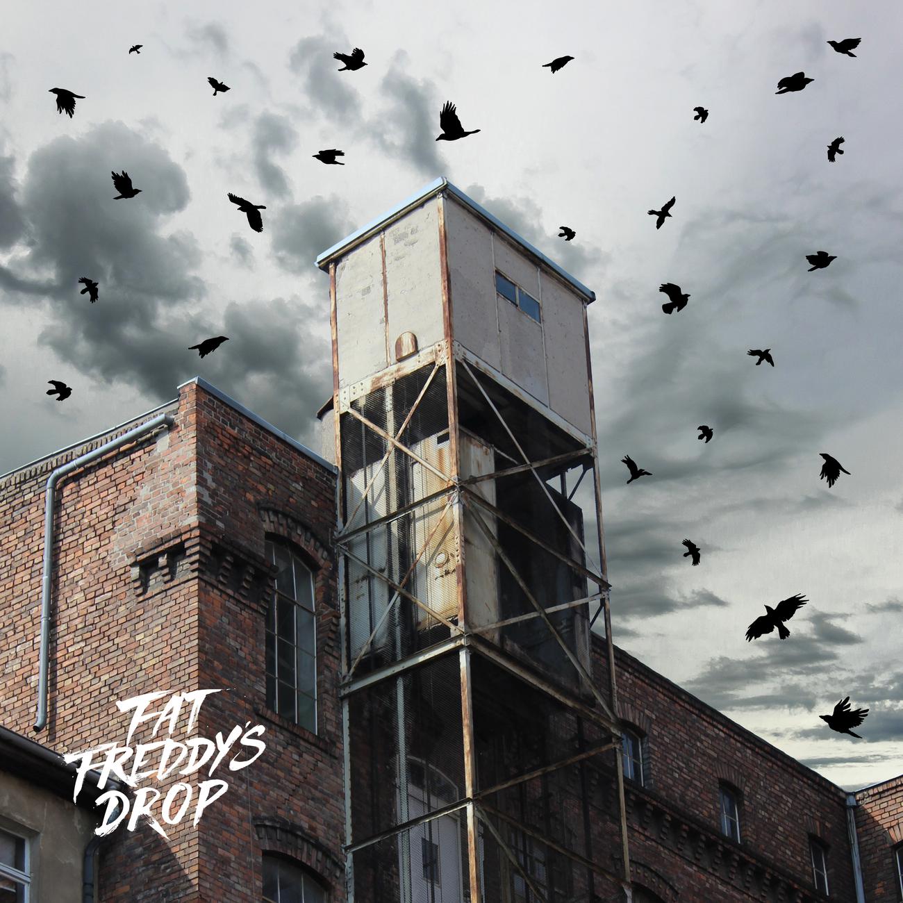 Постер альбома Blackbird Returns