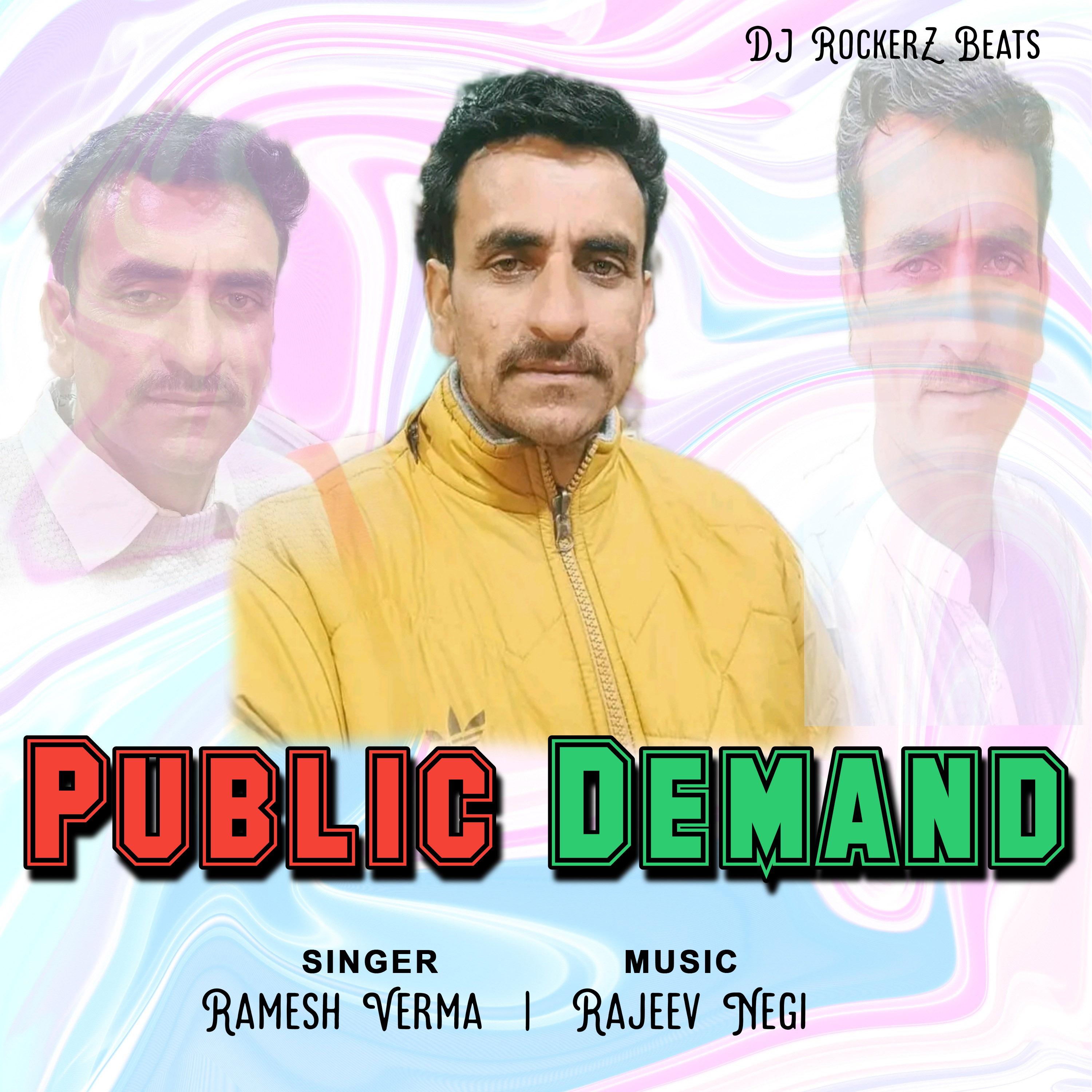 Постер альбома Public Demand