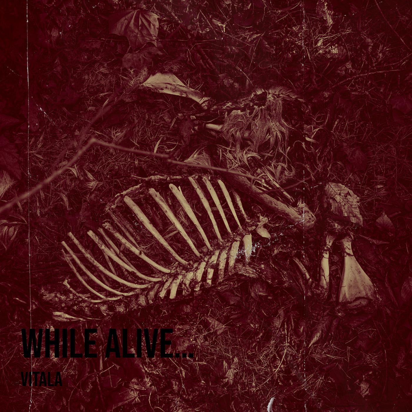 Постер альбома While Alive…