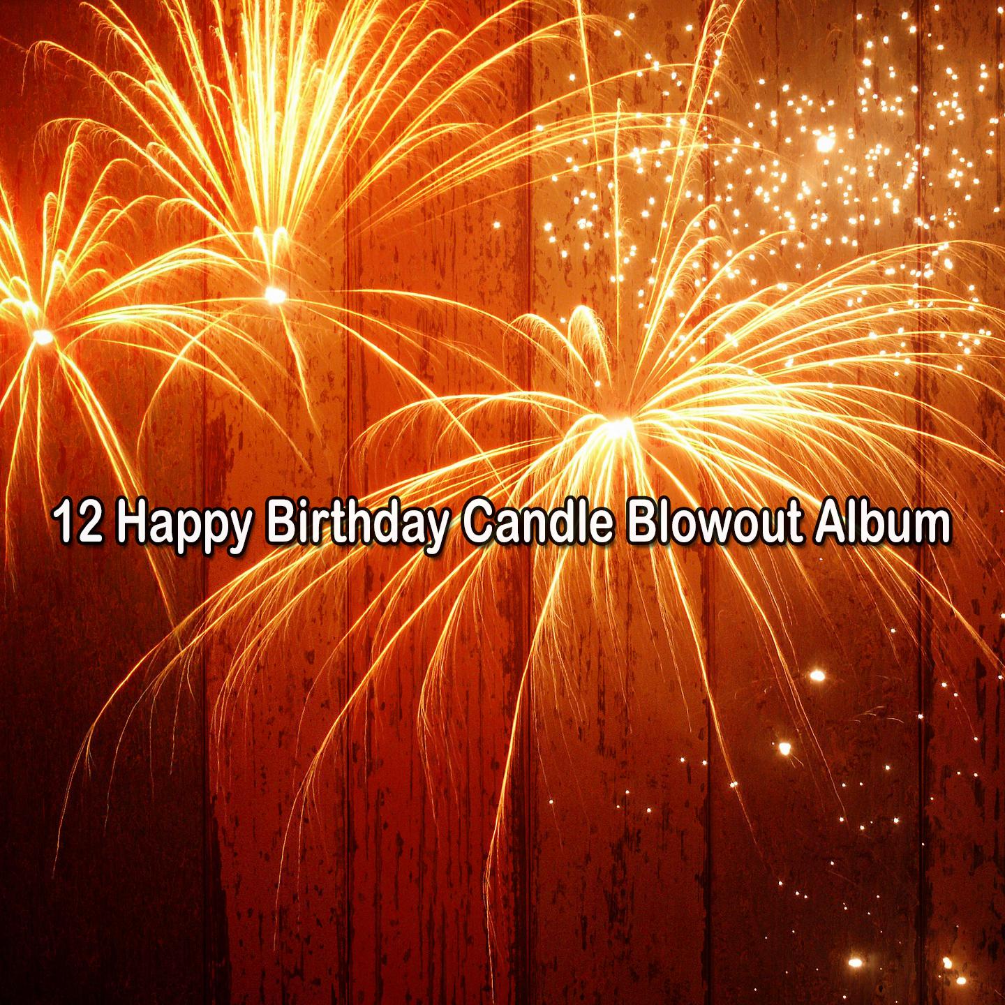 Постер альбома 12 Happy Birthday Candle Blowout Album
