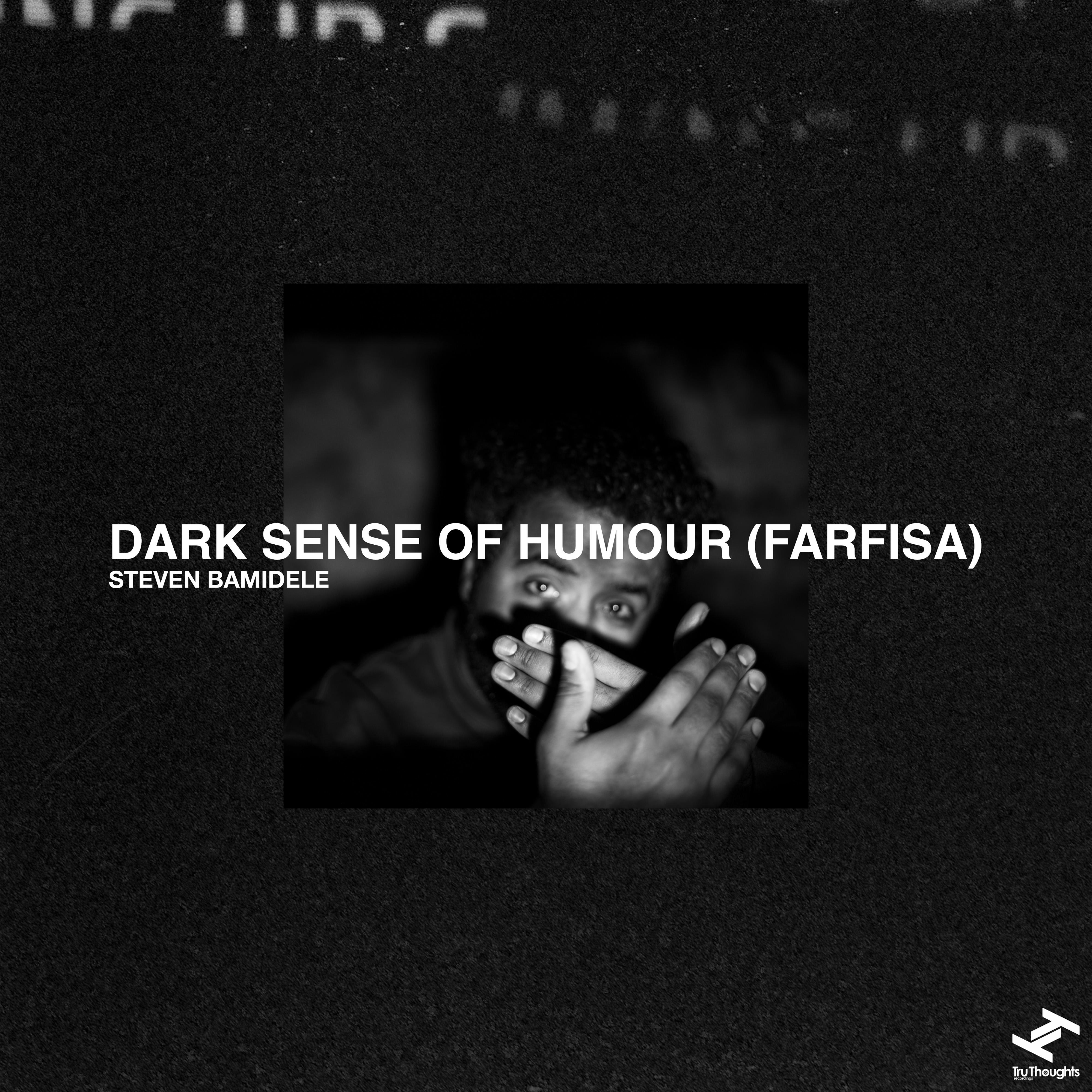 Постер альбома Dark Sense Of Humour (Farfisa)