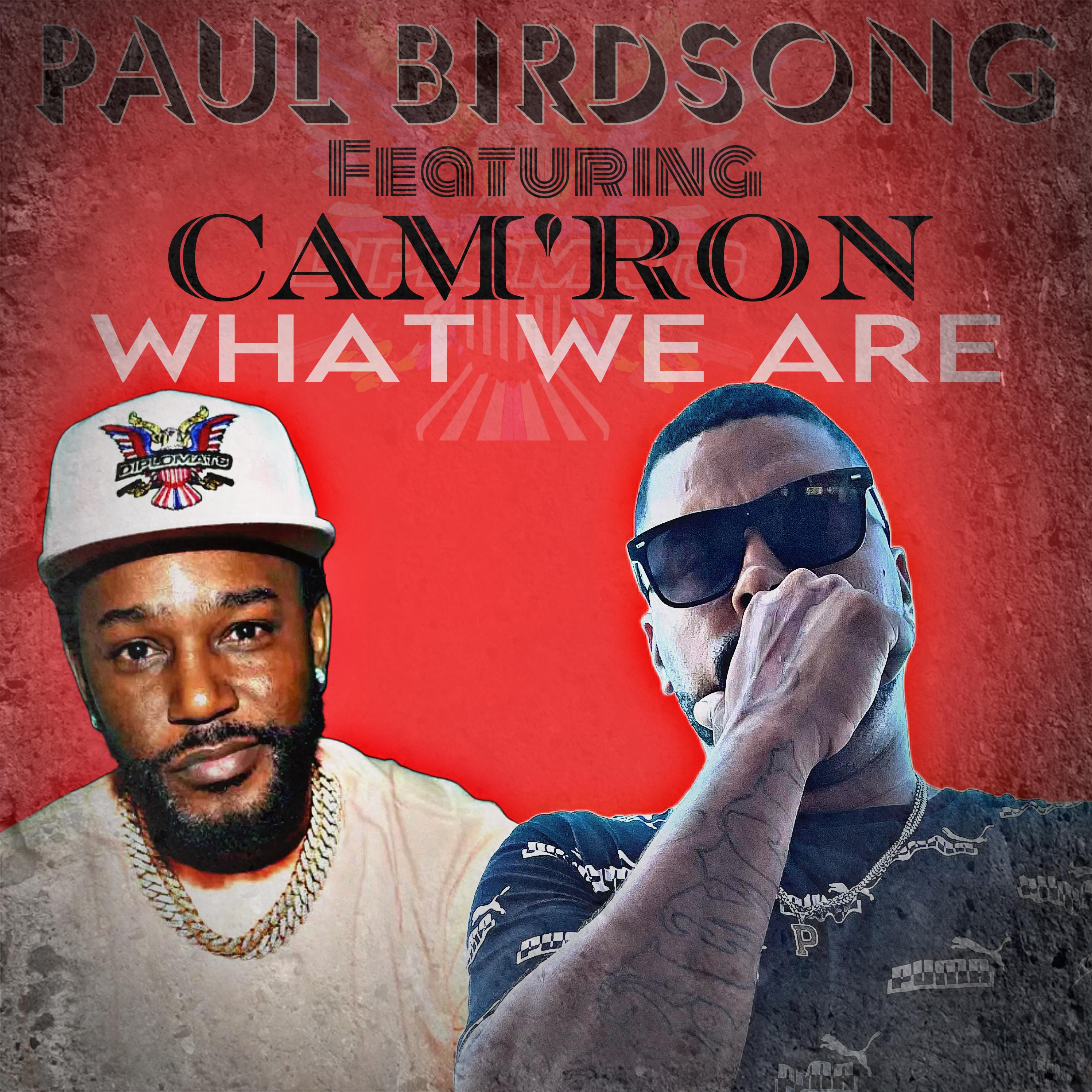 Постер альбома What we are (feat. Cam’ron)