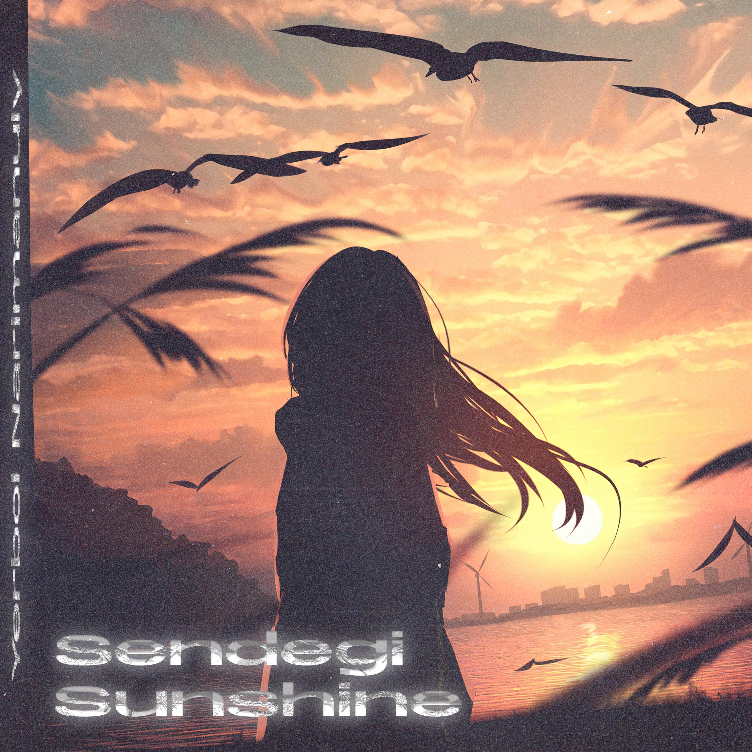 Постер альбома Sendegi sunshine