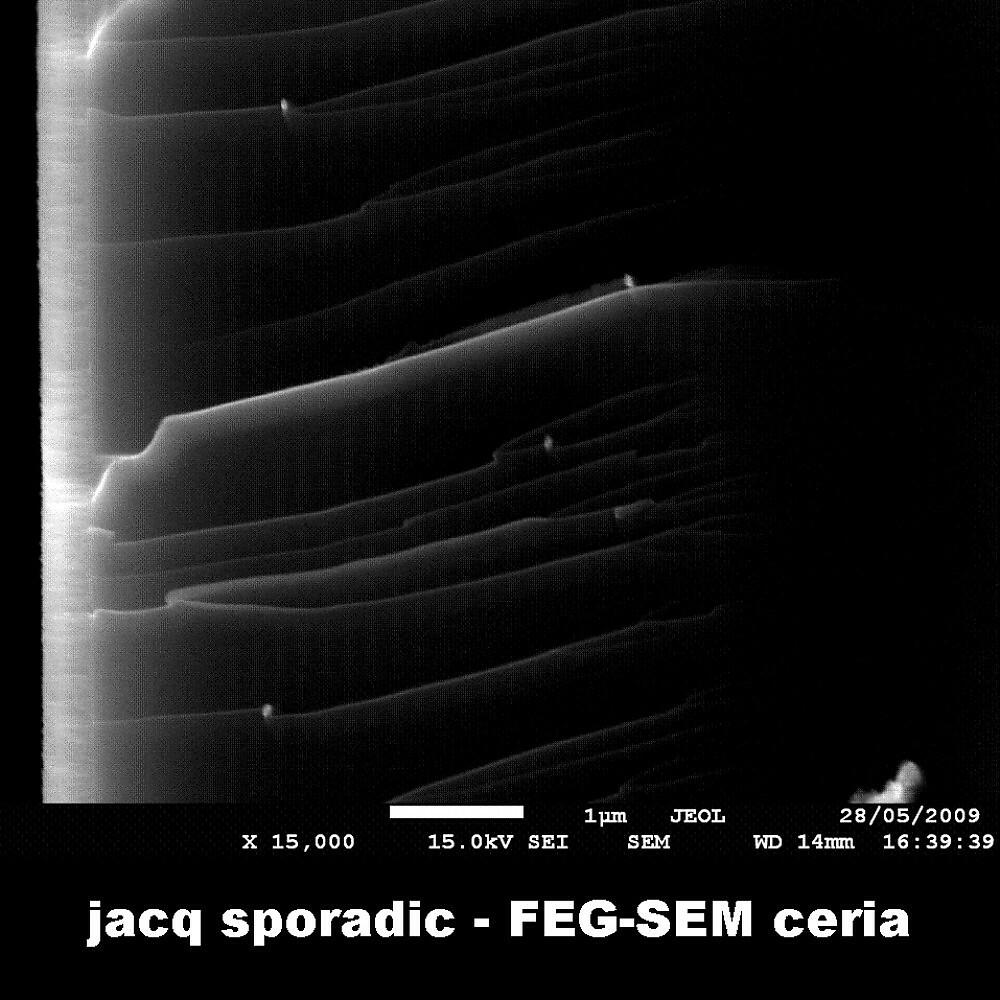Jacq Sporadic - Art Vandelay