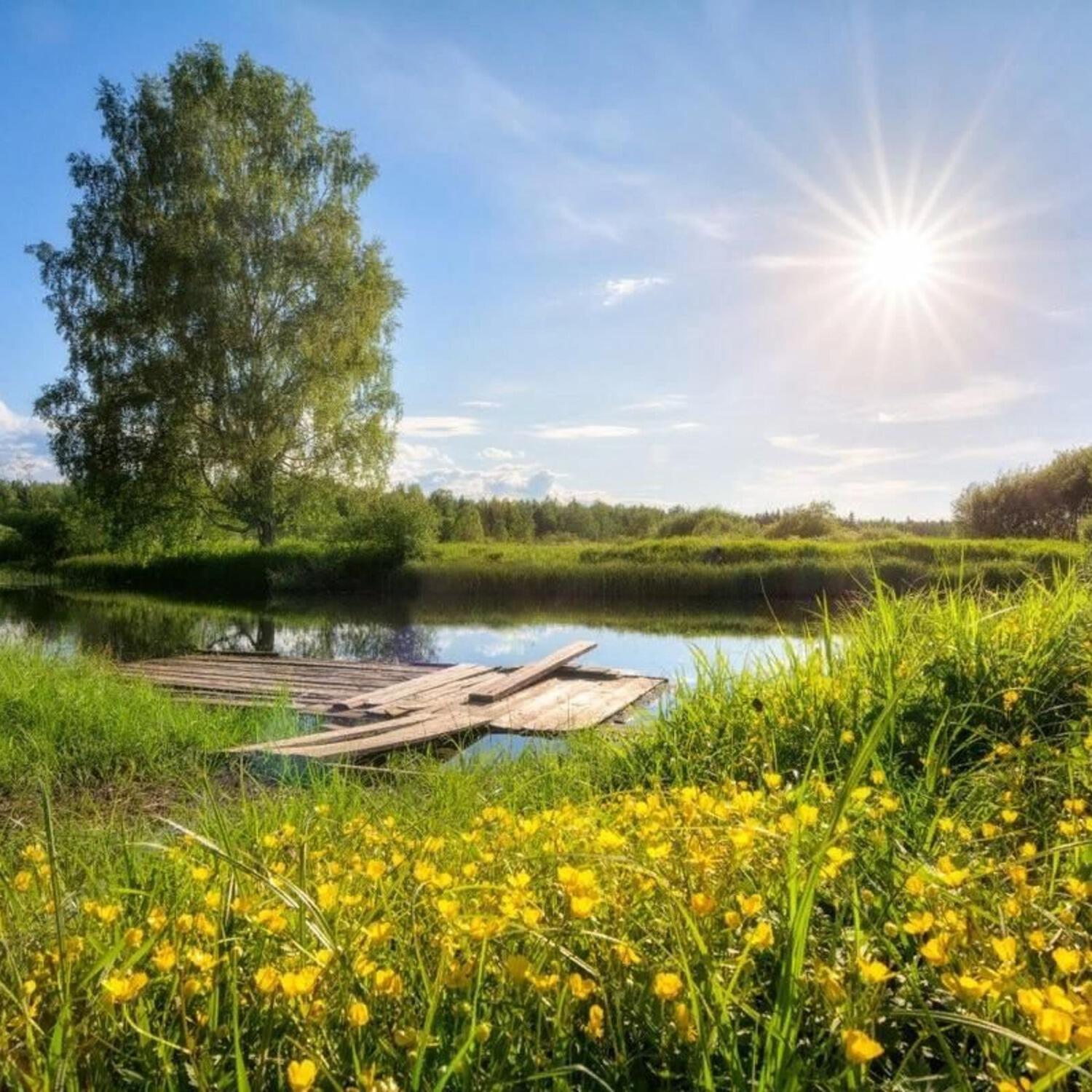 лето. солнечный пейзаж. Sunny years. летний пейзаж. яркое солнце.