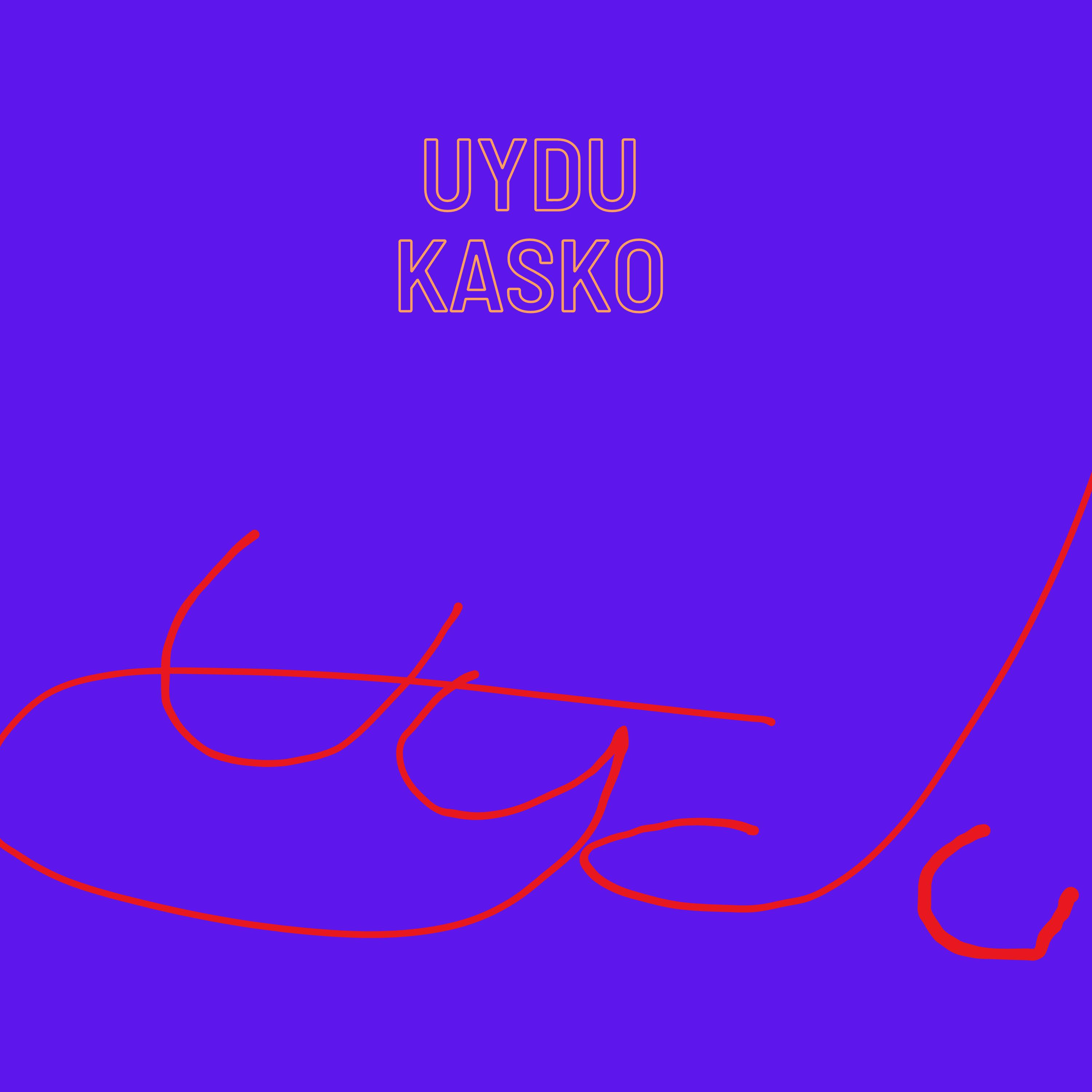 Постер альбома Uydu