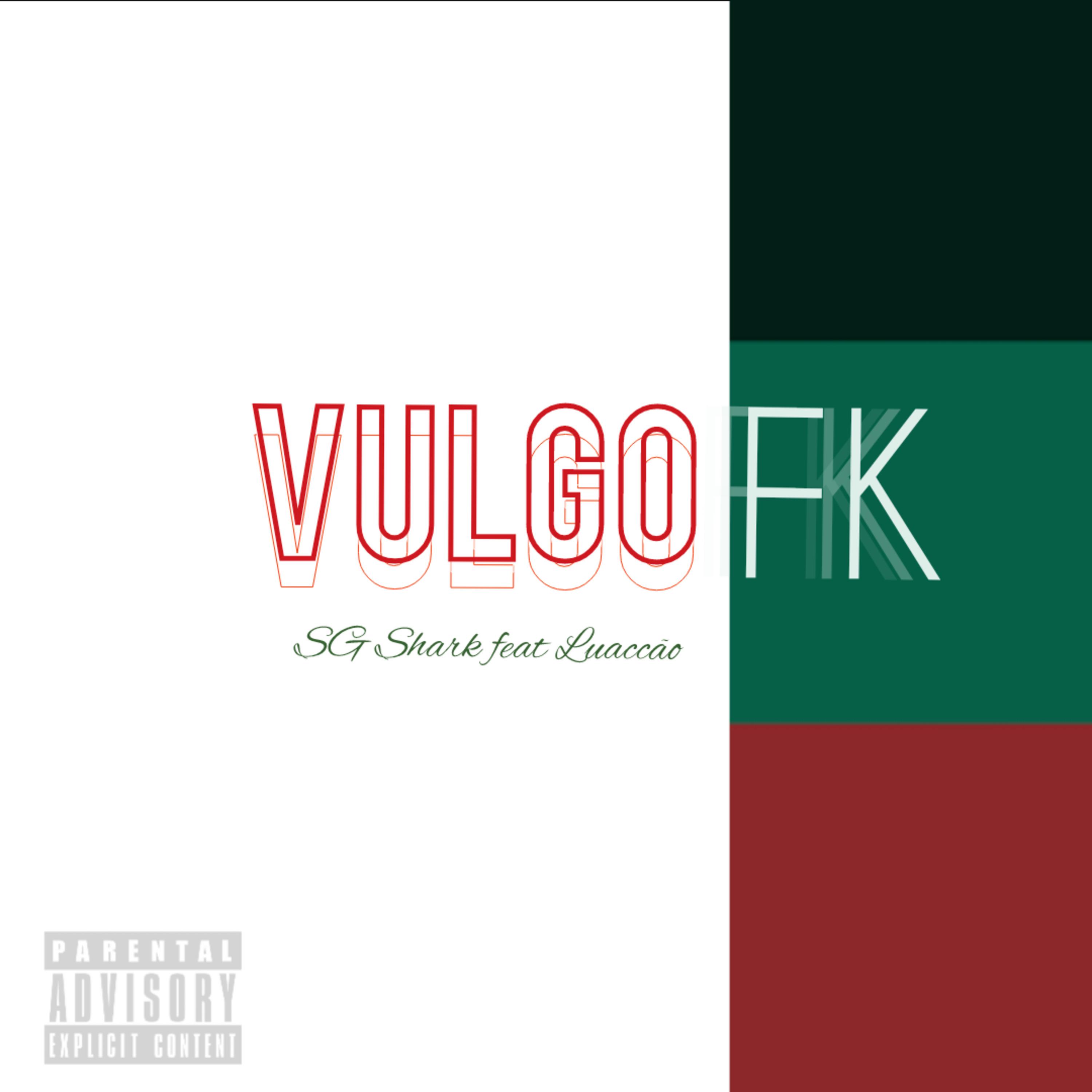 Постер альбома Vulgo Fk