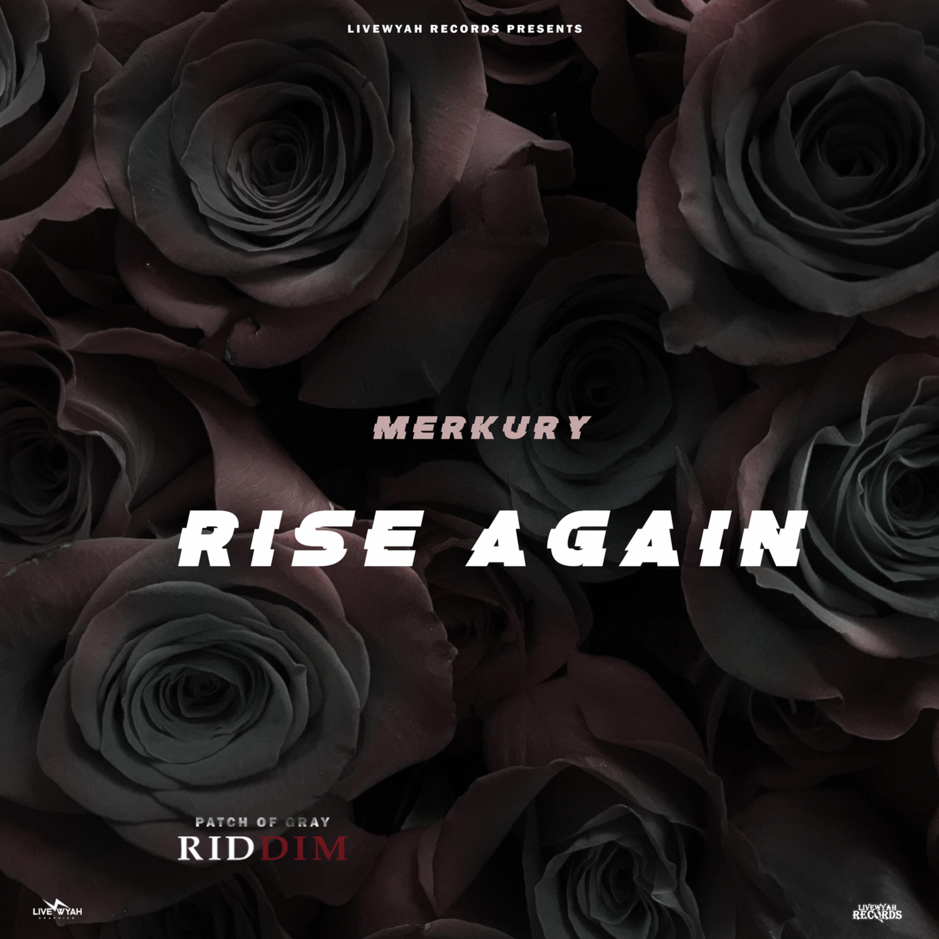 Постер альбома Rise Again