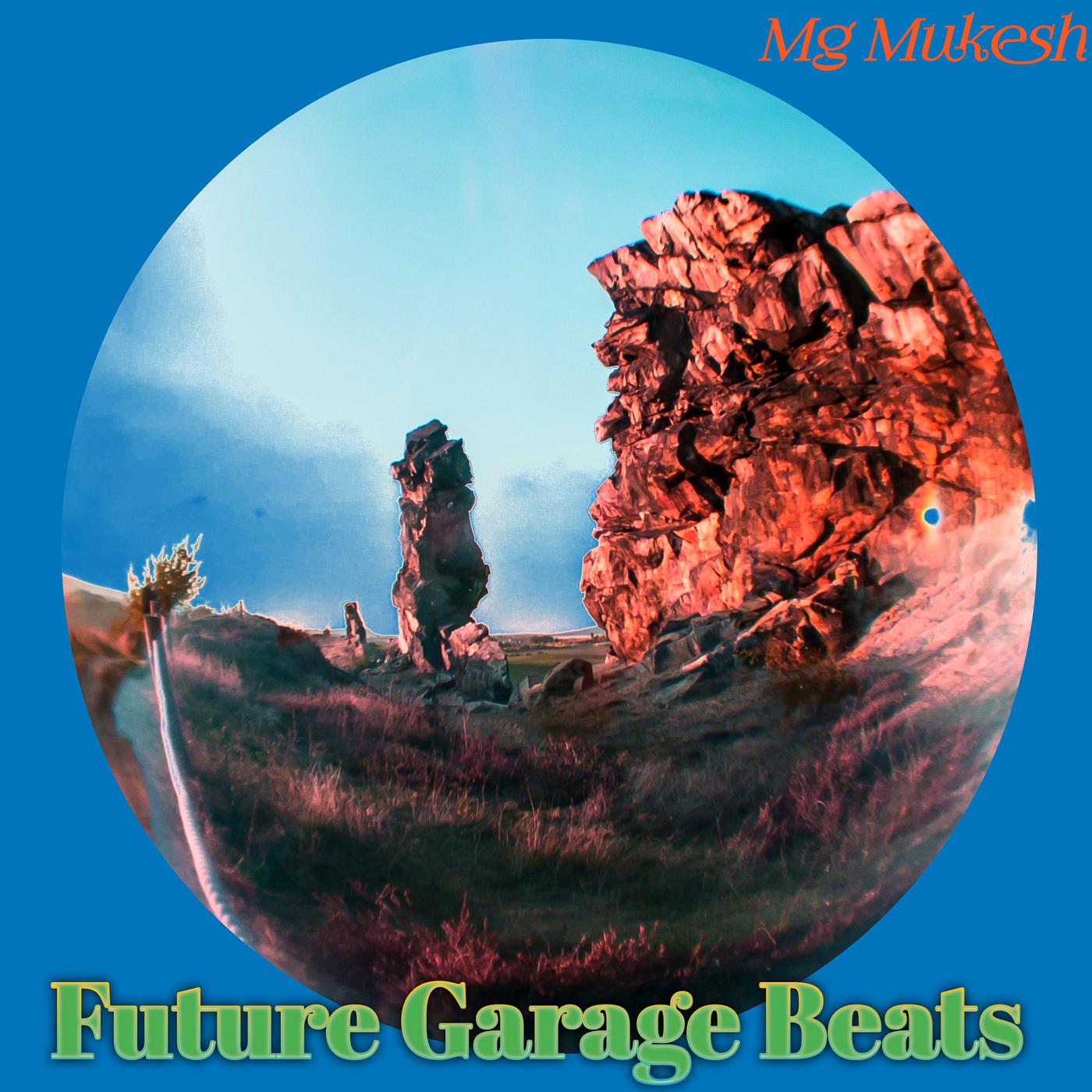 Постер альбома Future Garage Beats