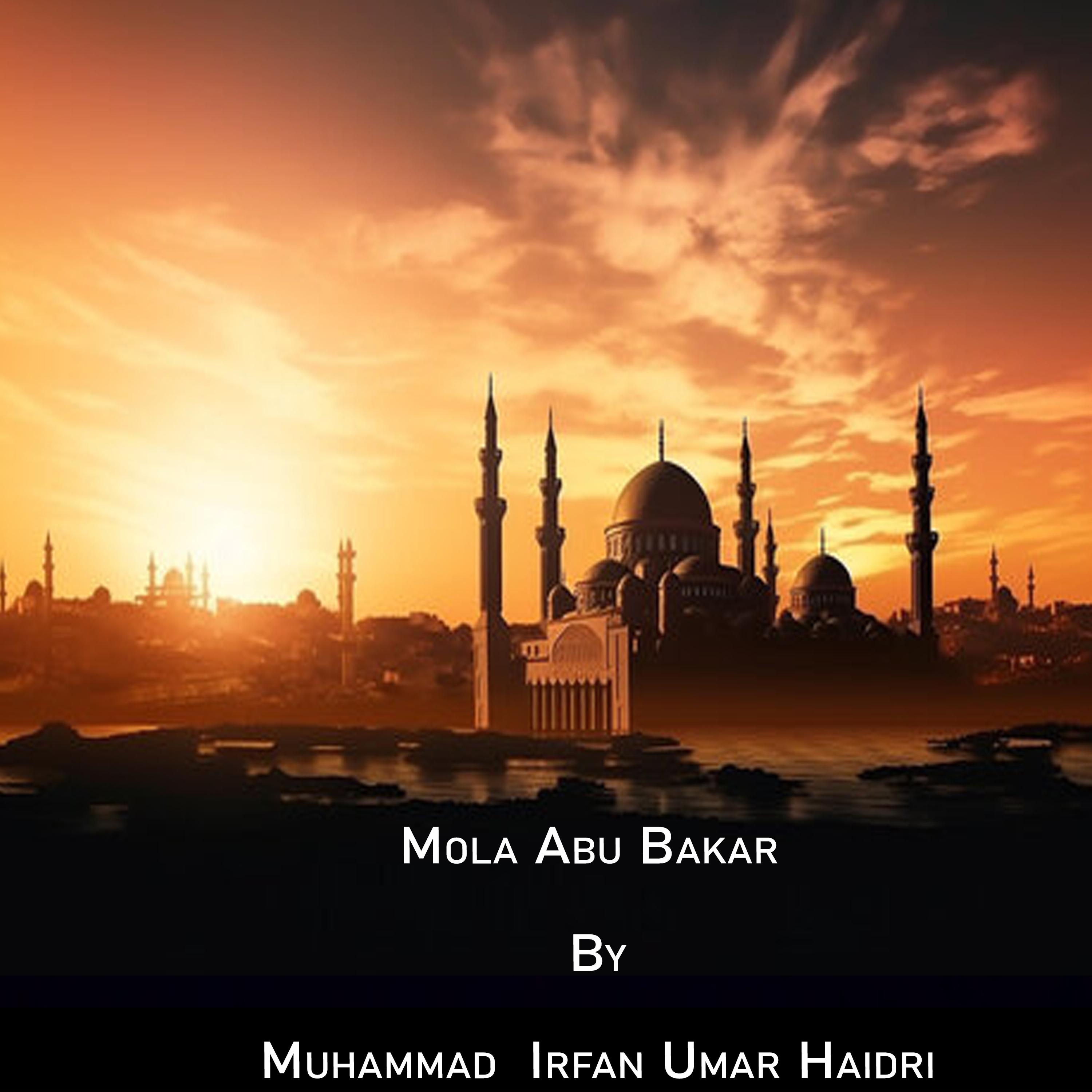 Постер альбома Mola Abu Bakar
