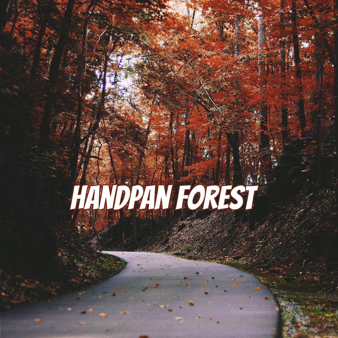 Постер альбома Handpan Forest